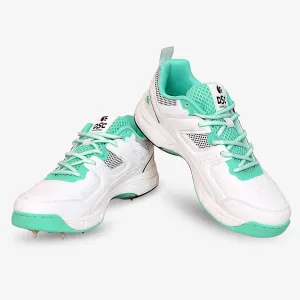 DSC Men's Surge 2.0 Cricket Shoes