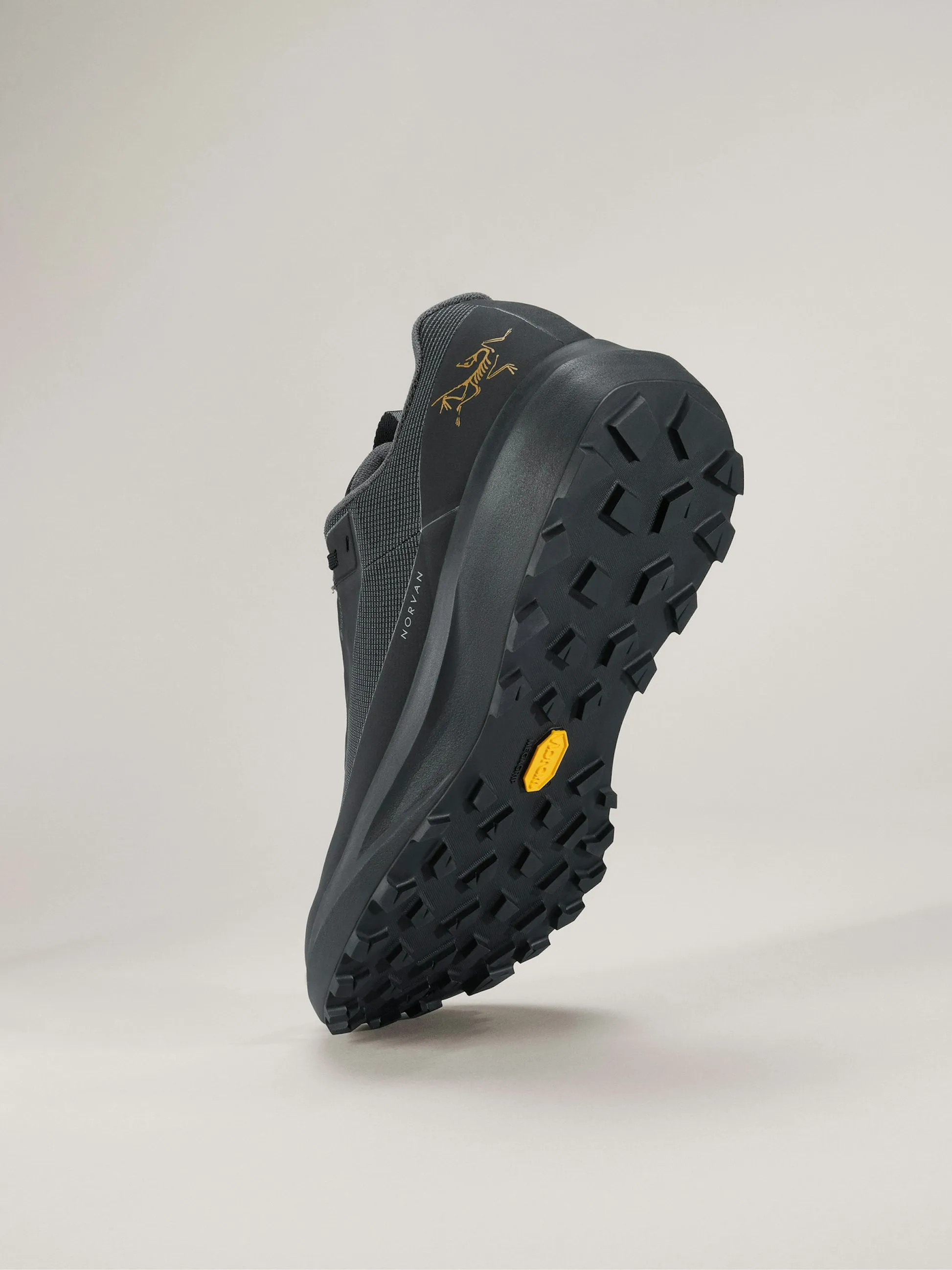 Men's Norvan LD 4 GTX Trail Running Shoe