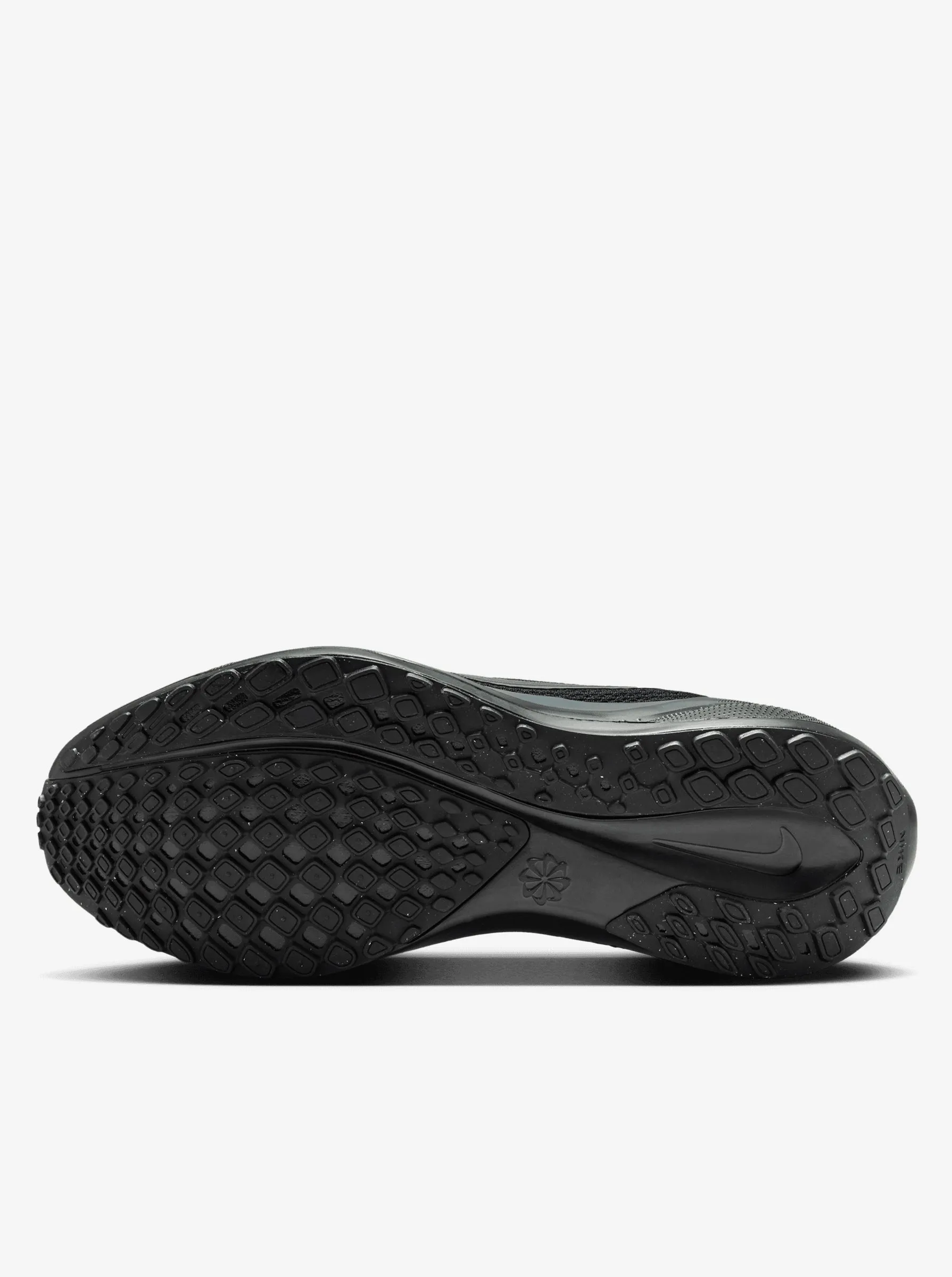Pegasus 41 Womens