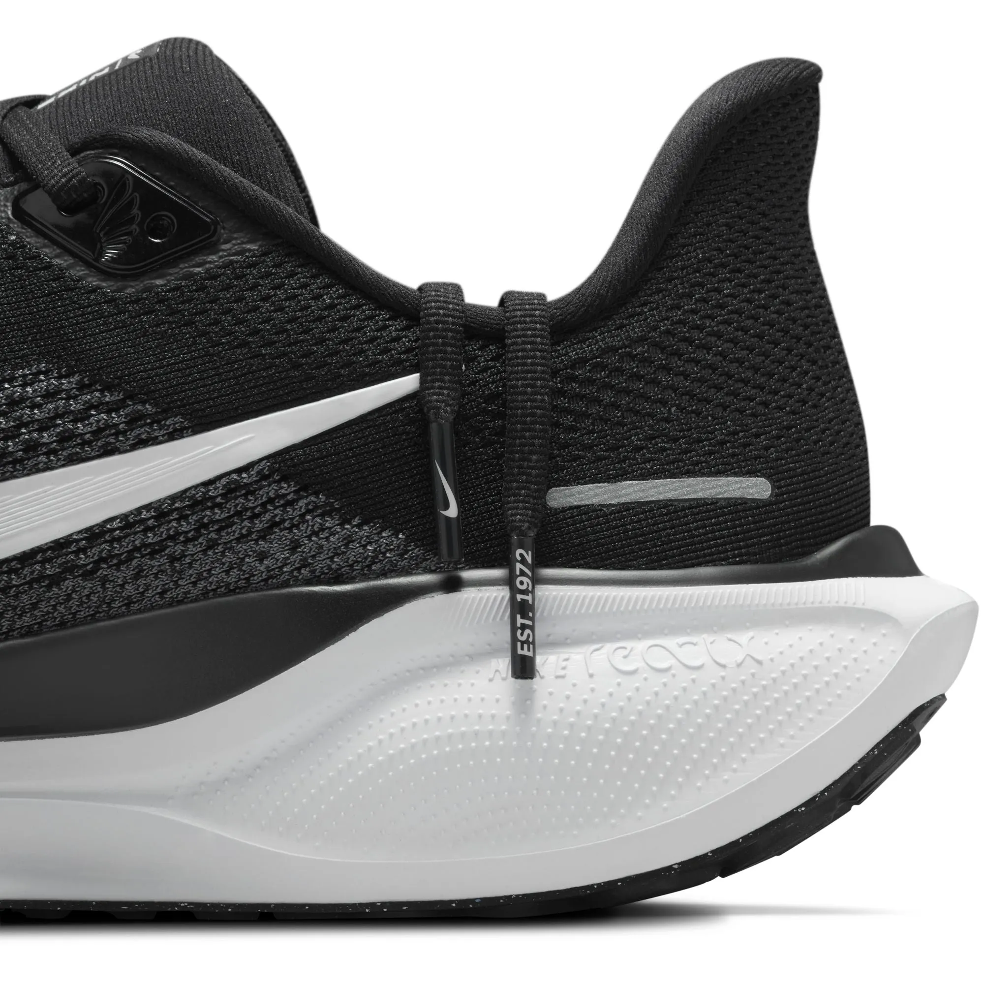Pegasus 41
