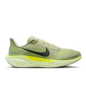 Pegasus 41