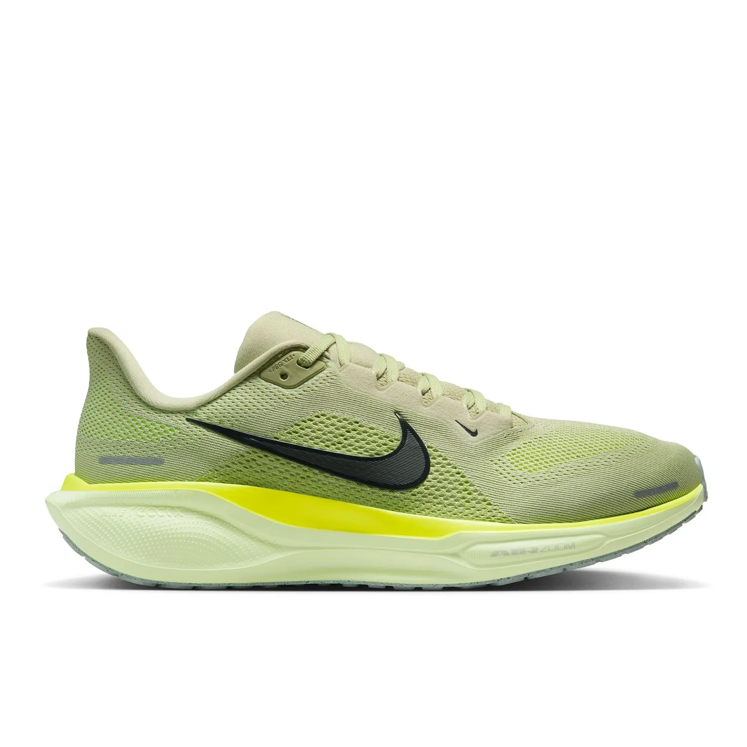 Pegasus 41
