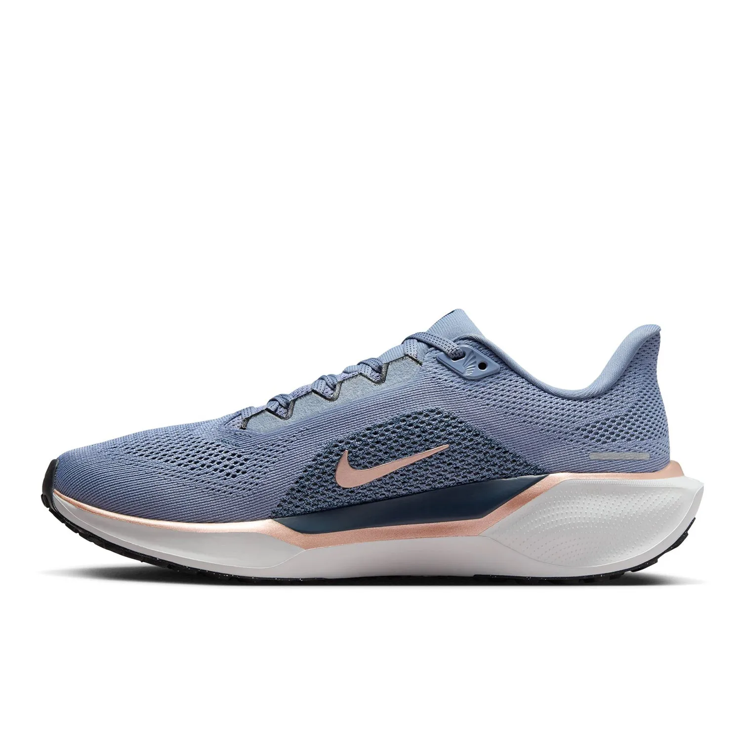 Pegasus 41