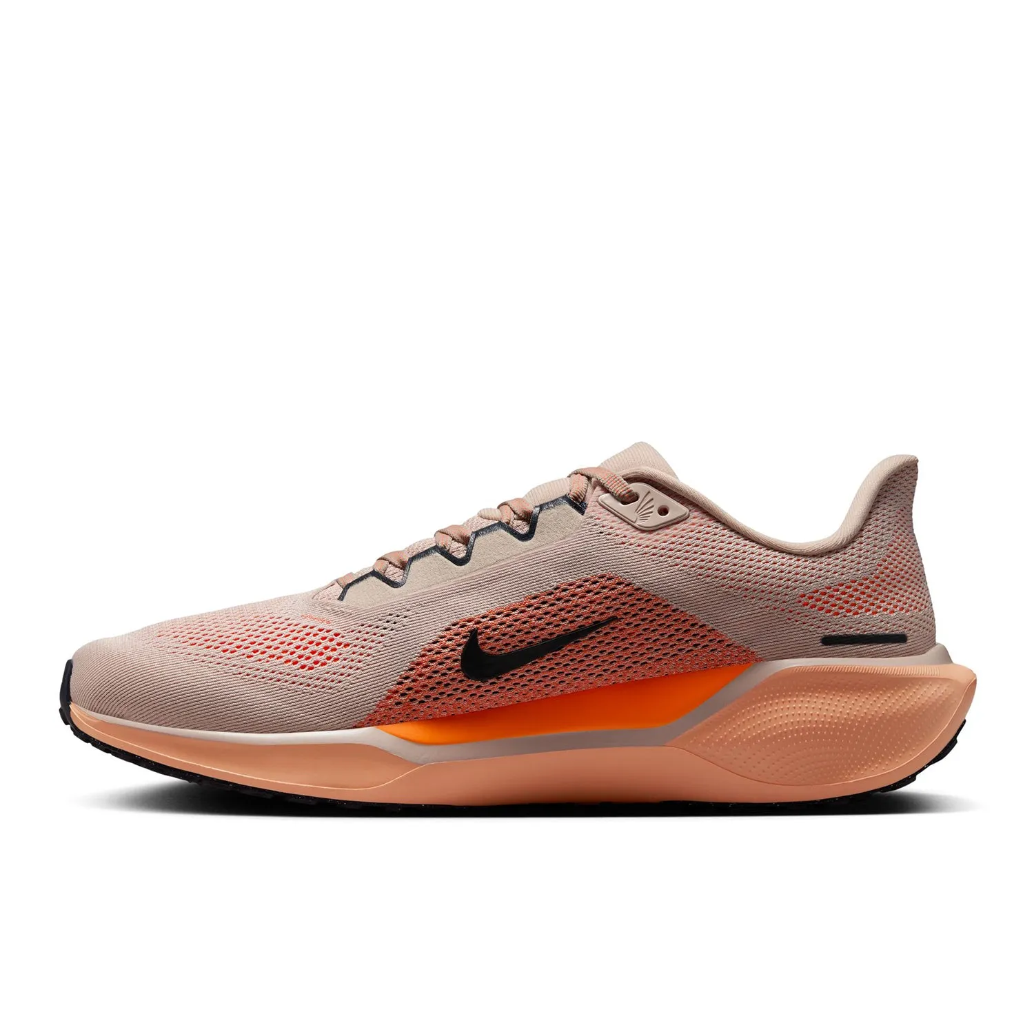 Pegasus 41