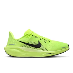 Pegasus 41
