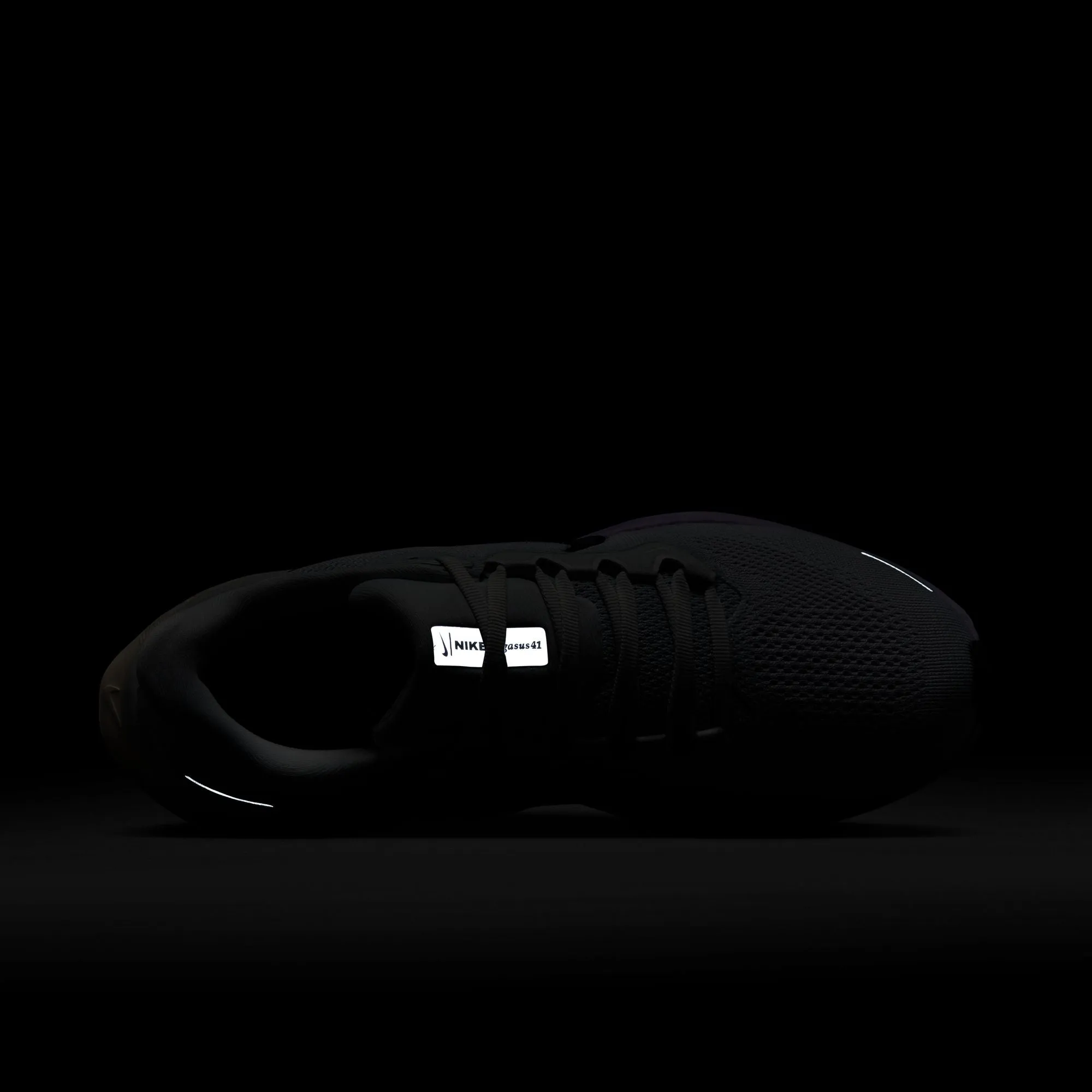 Pegasus 41