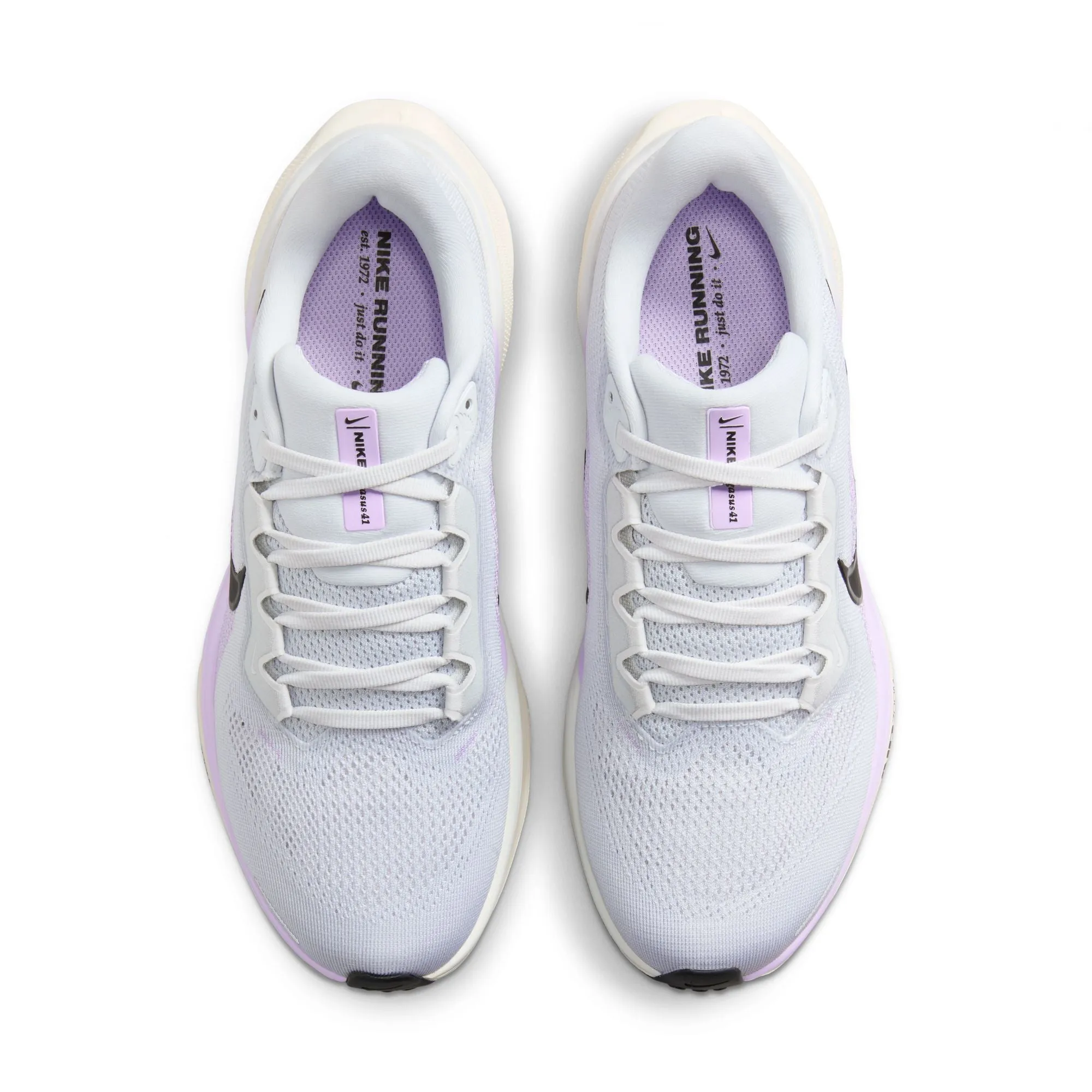 Pegasus 41