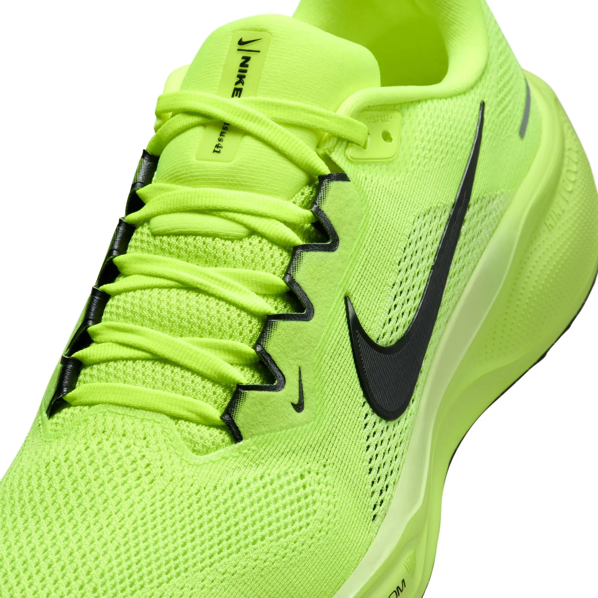 Pegasus 41