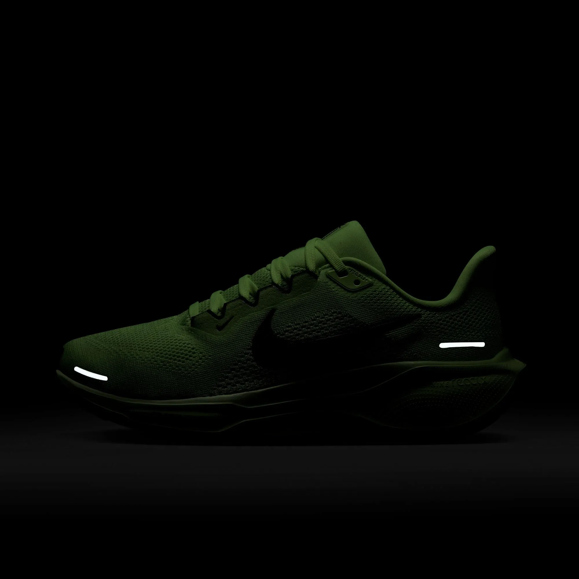 Pegasus 41