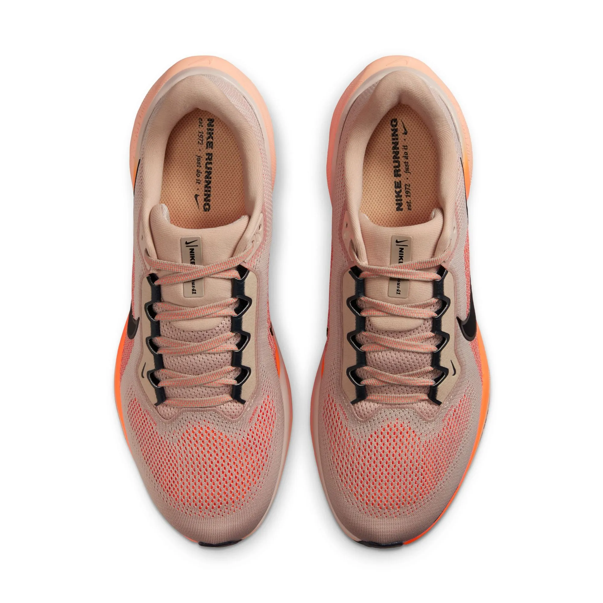 Pegasus 41