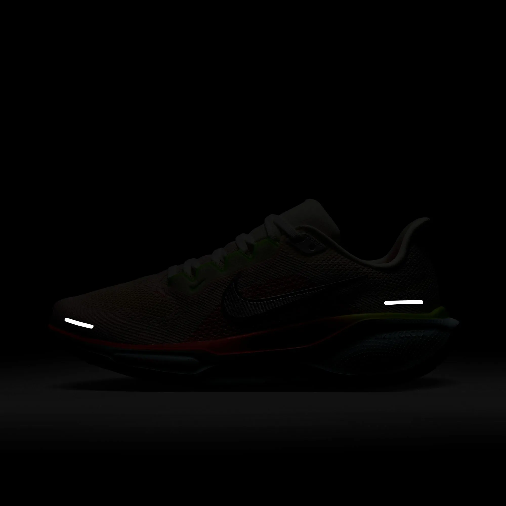 Pegasus 41