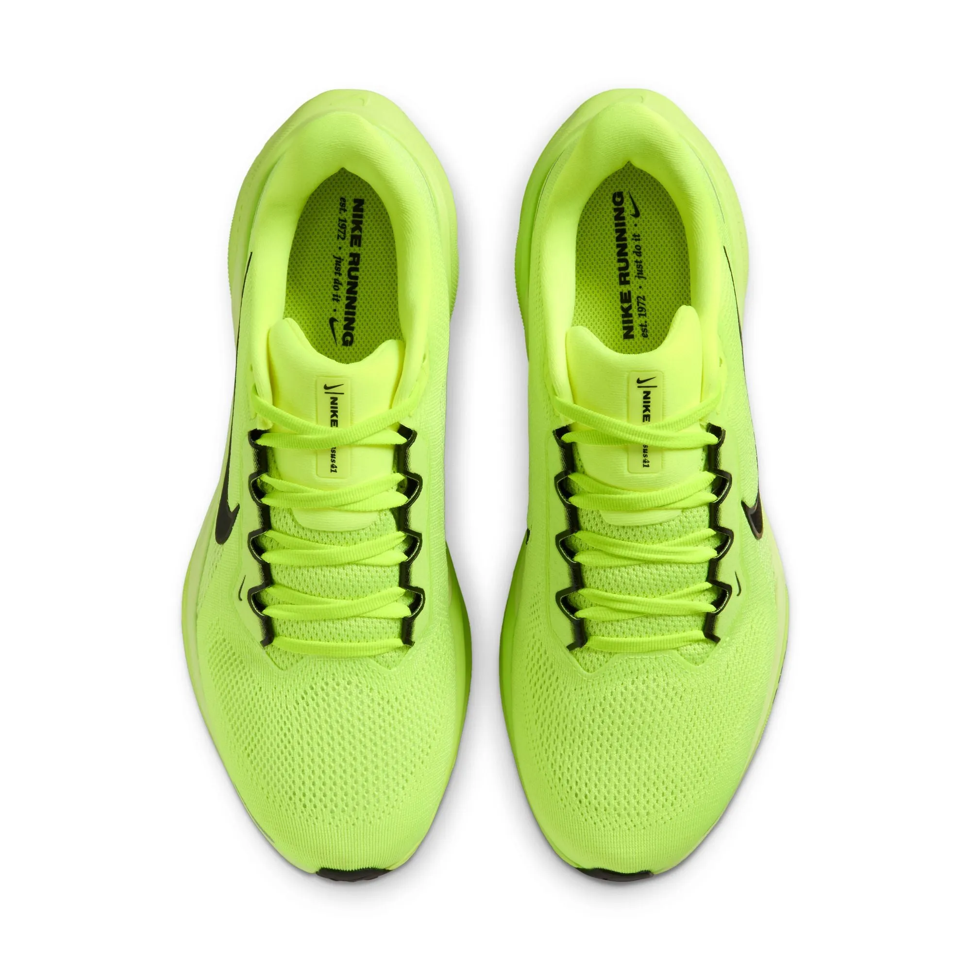 Pegasus 41