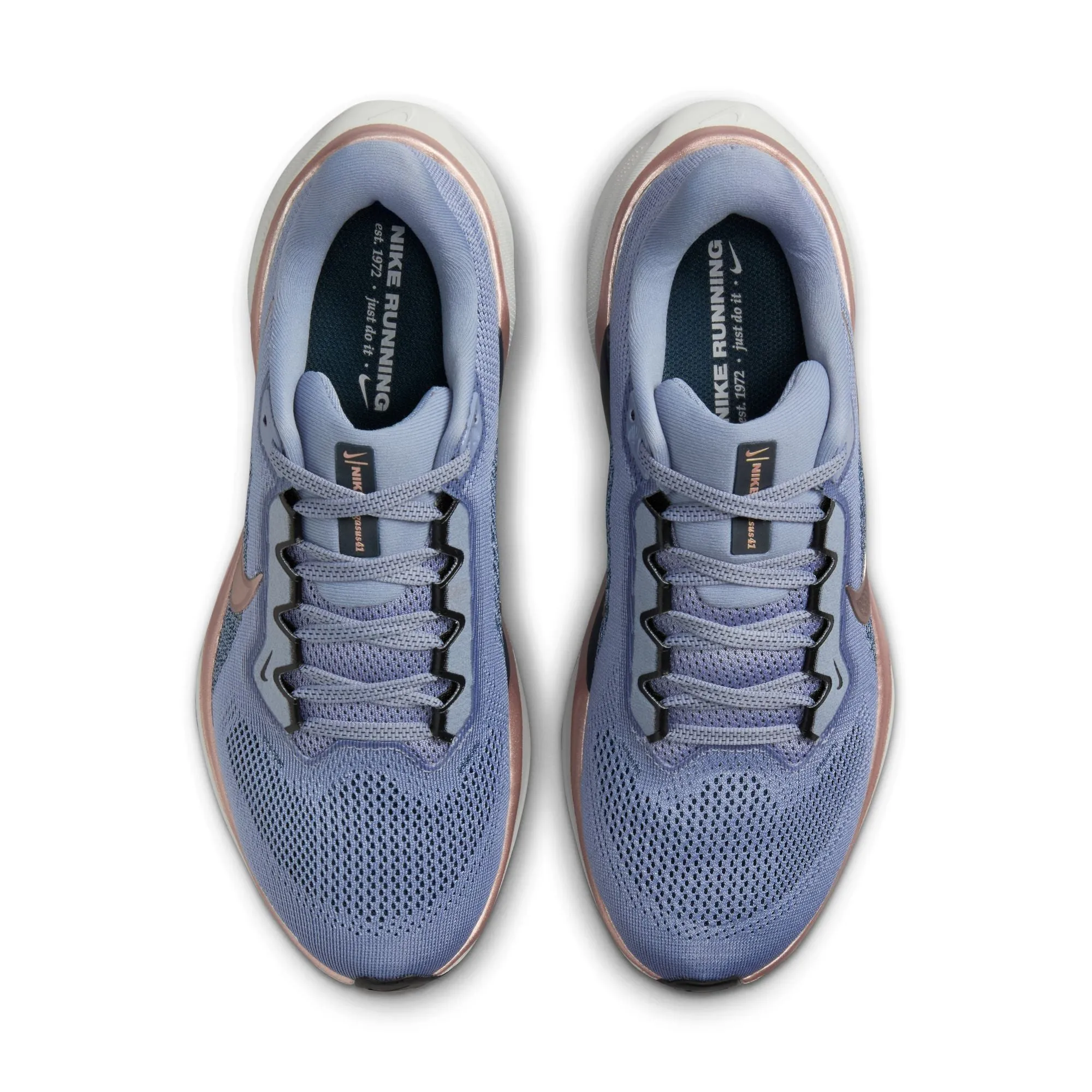 Pegasus 41