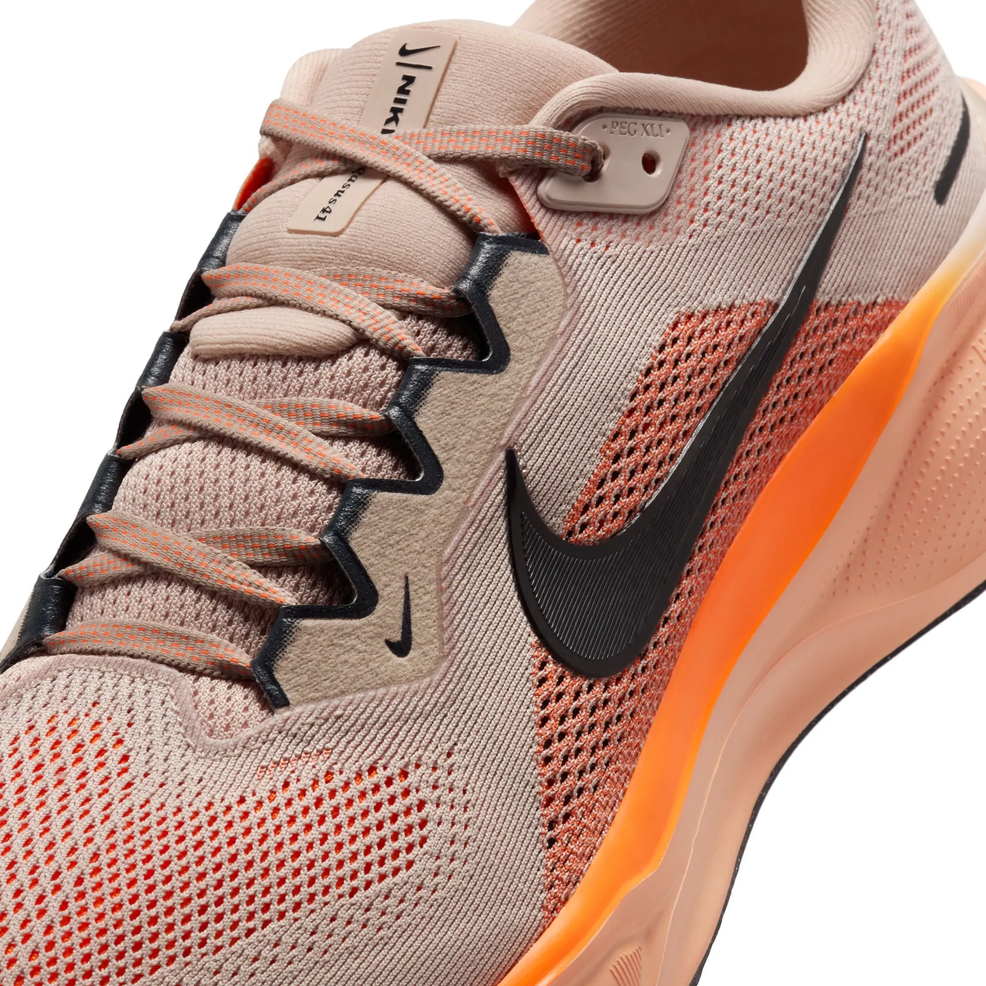 Pegasus 41