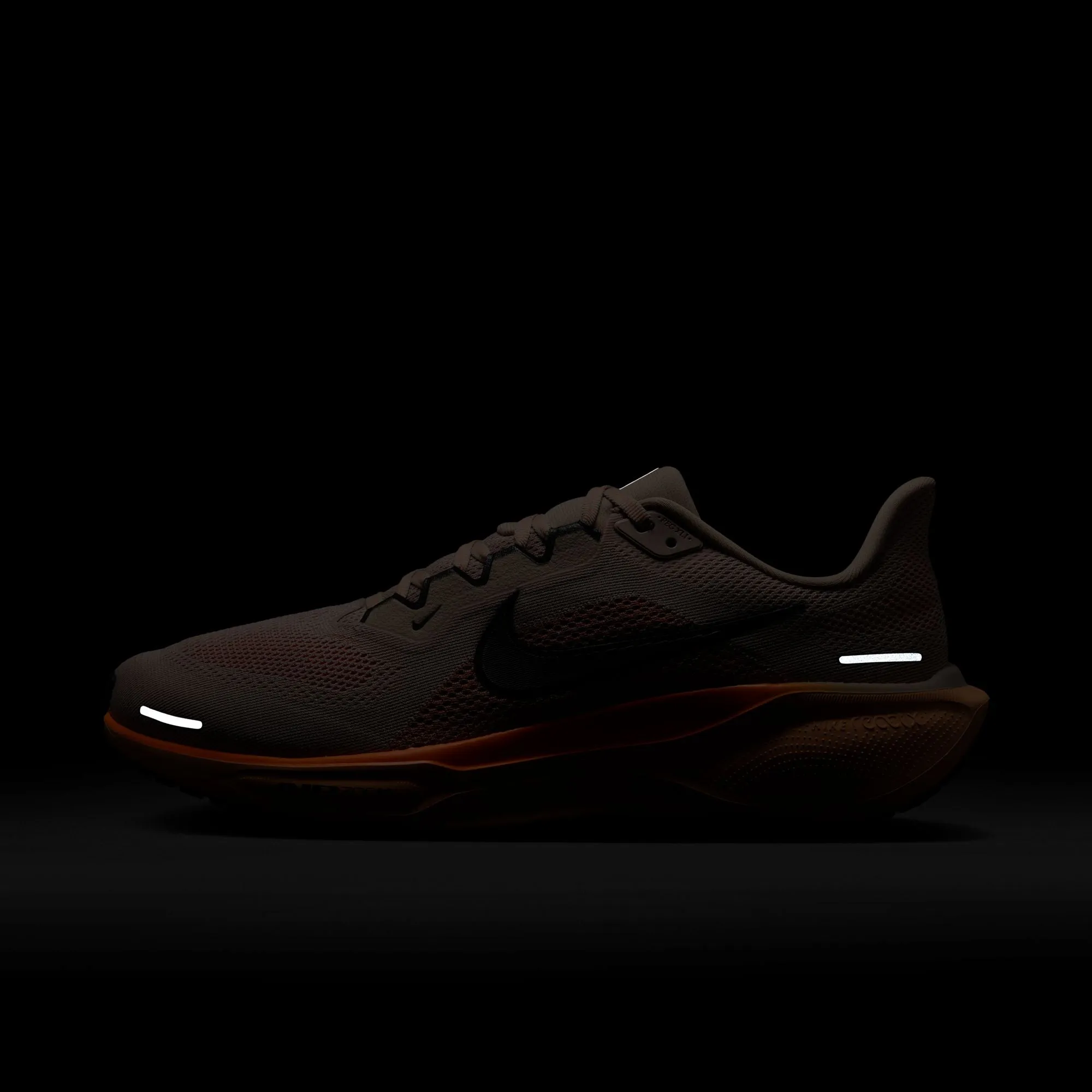 Pegasus 41