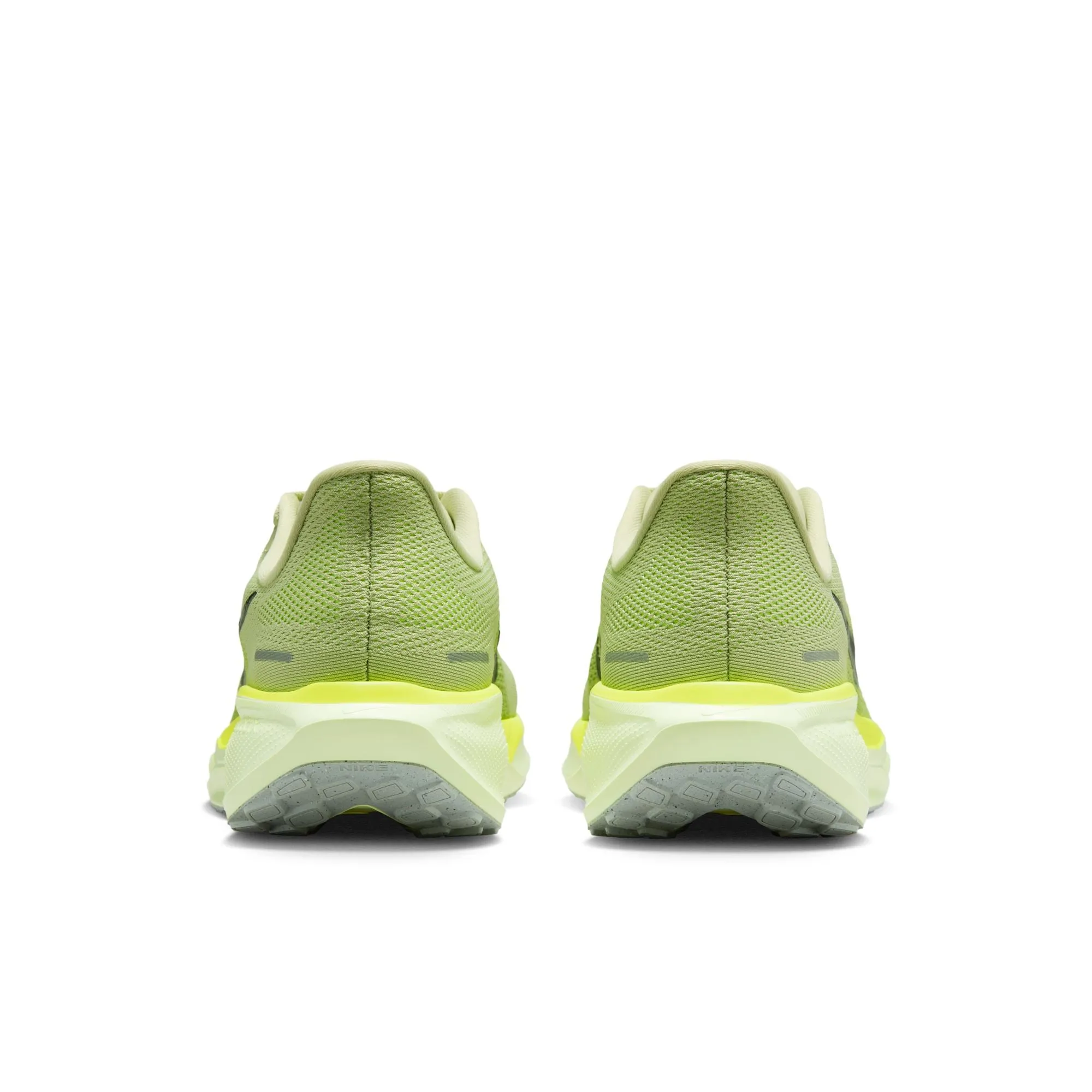 Pegasus 41