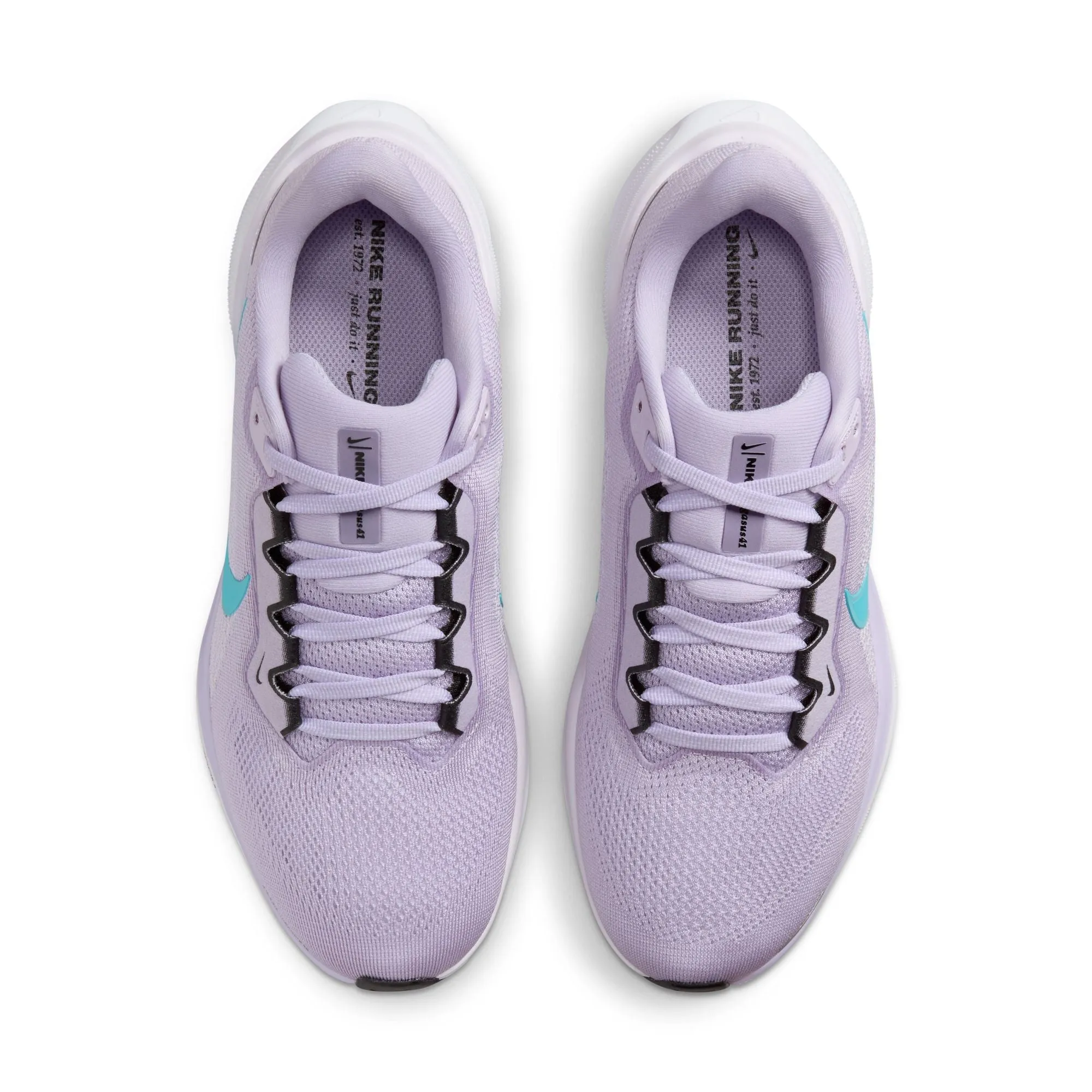 Pegasus 41