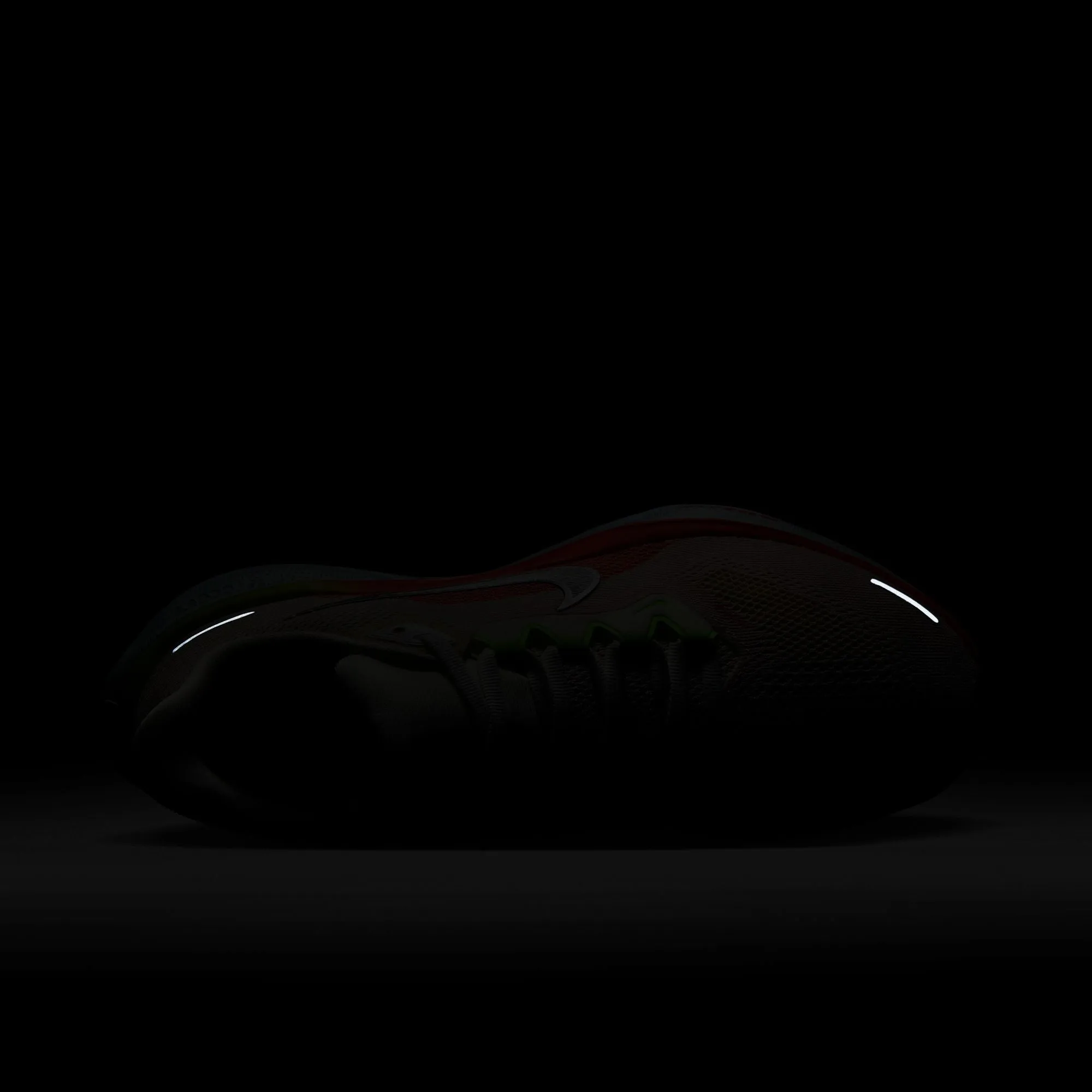 Pegasus 41