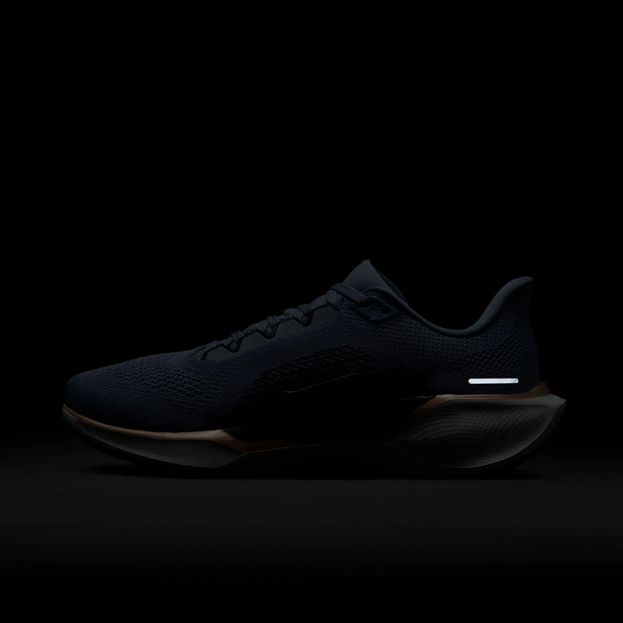 Pegasus 41