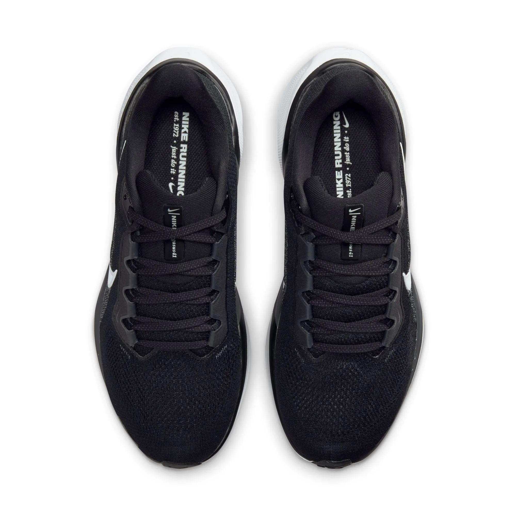Pegasus 41