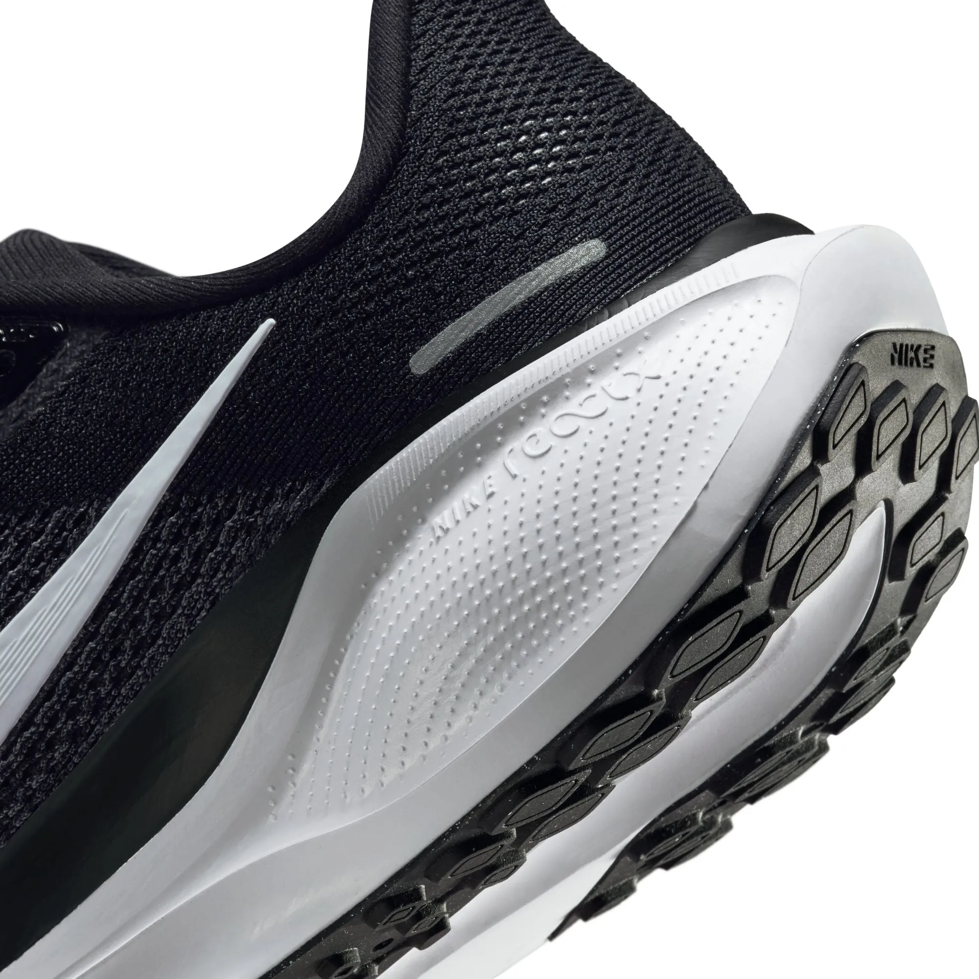 Pegasus 41