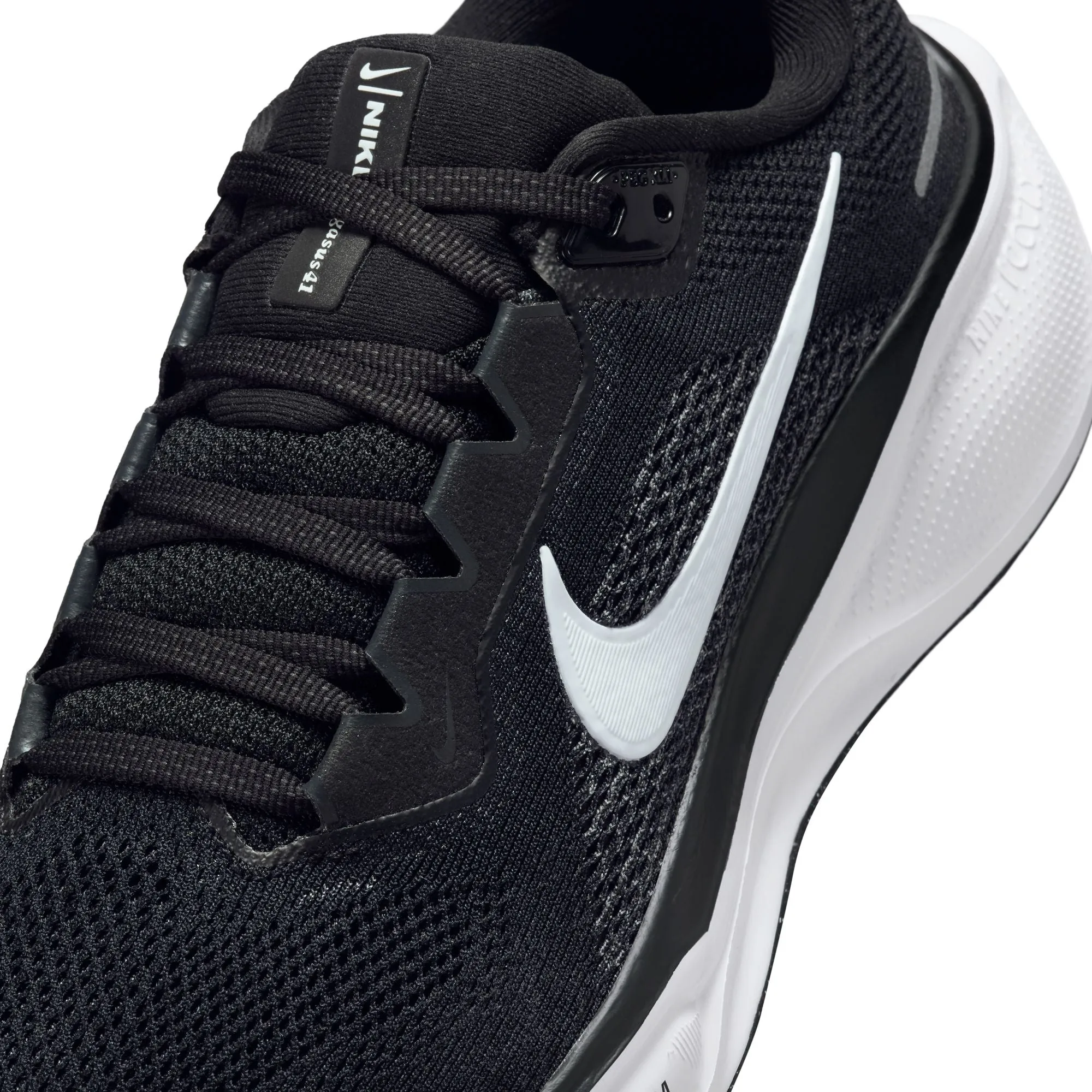 Pegasus 41