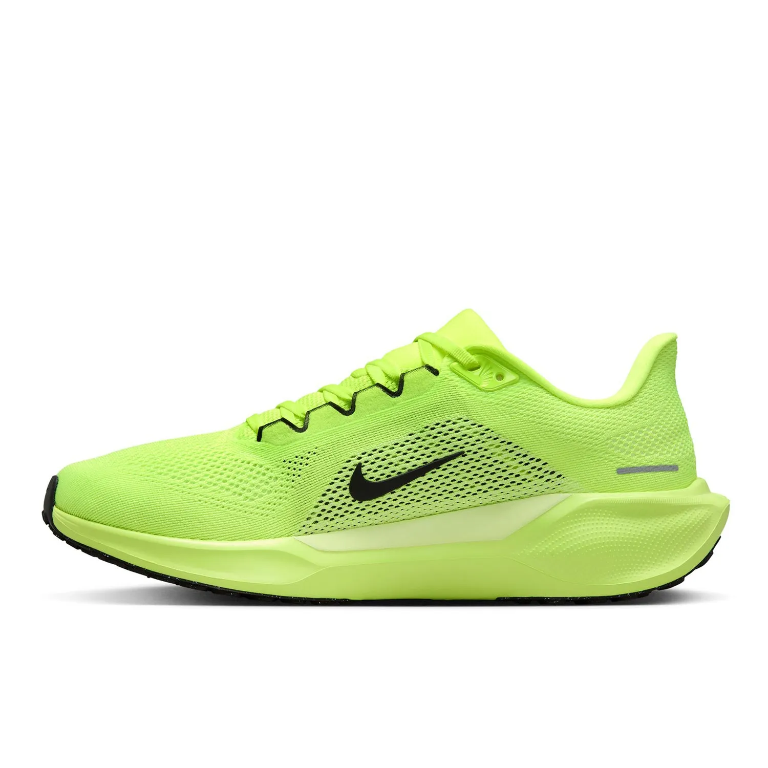 Pegasus 41
