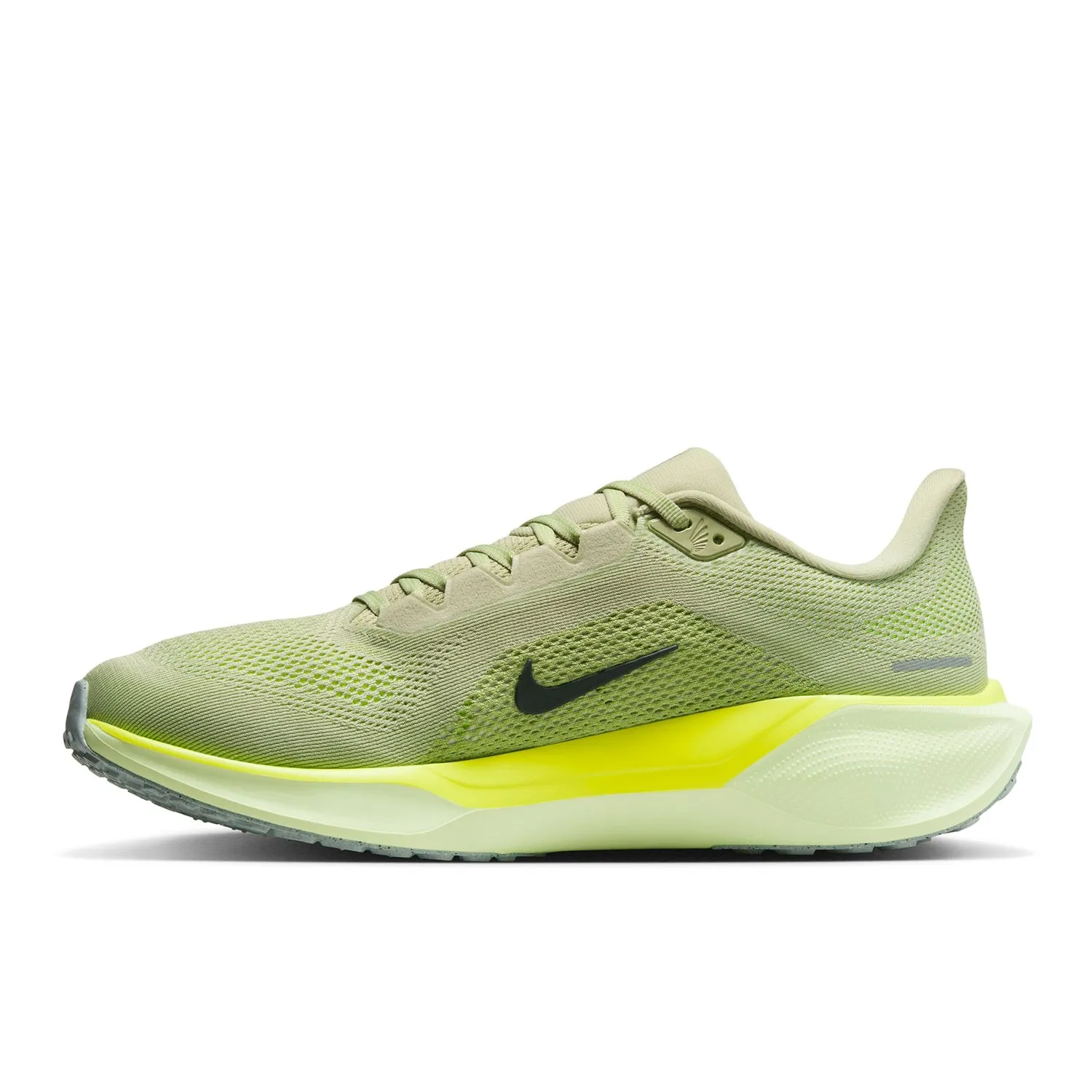 Pegasus 41