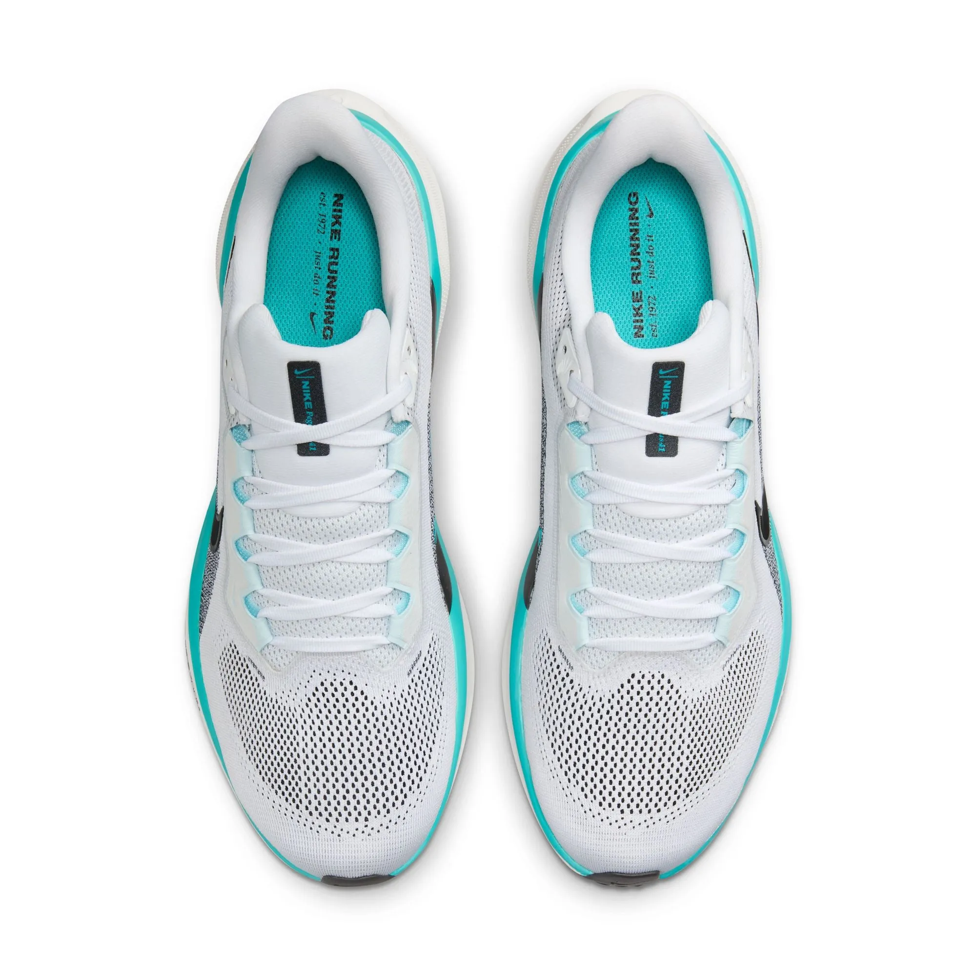 Pegasus 41