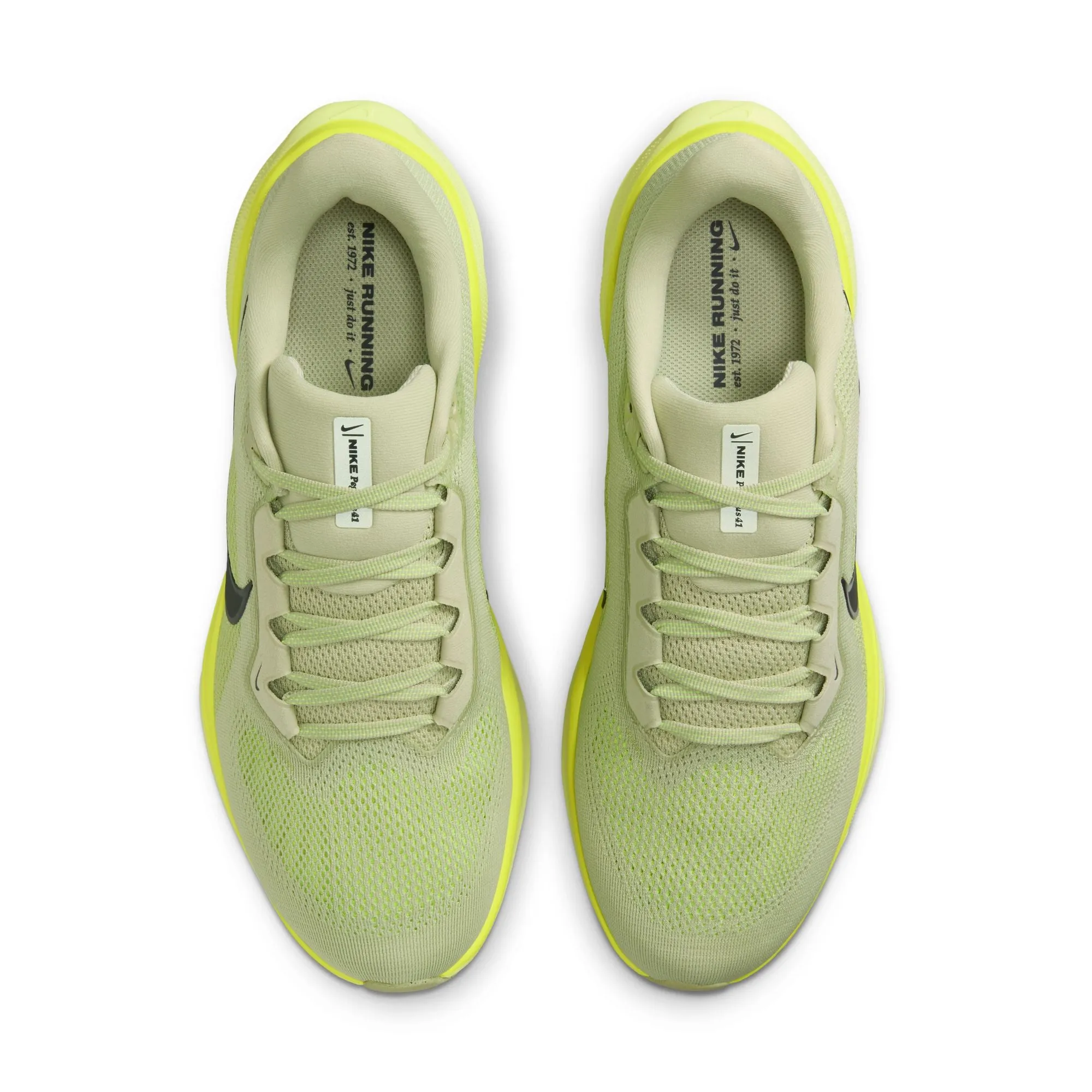 Pegasus 41