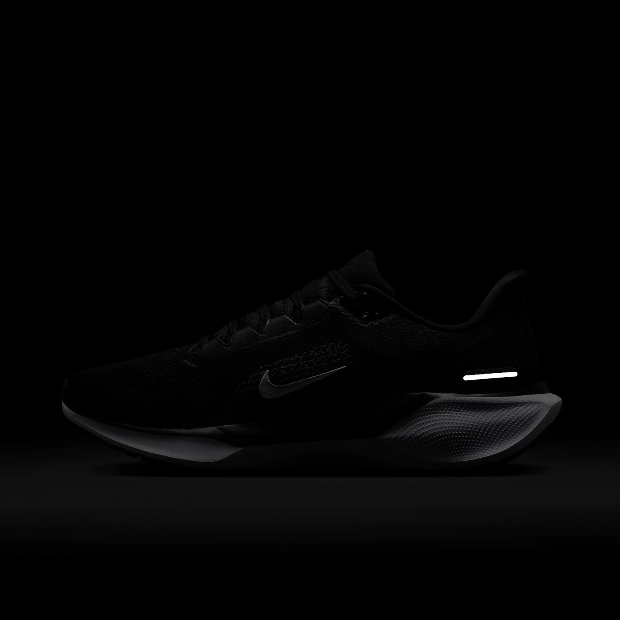 Pegasus 41