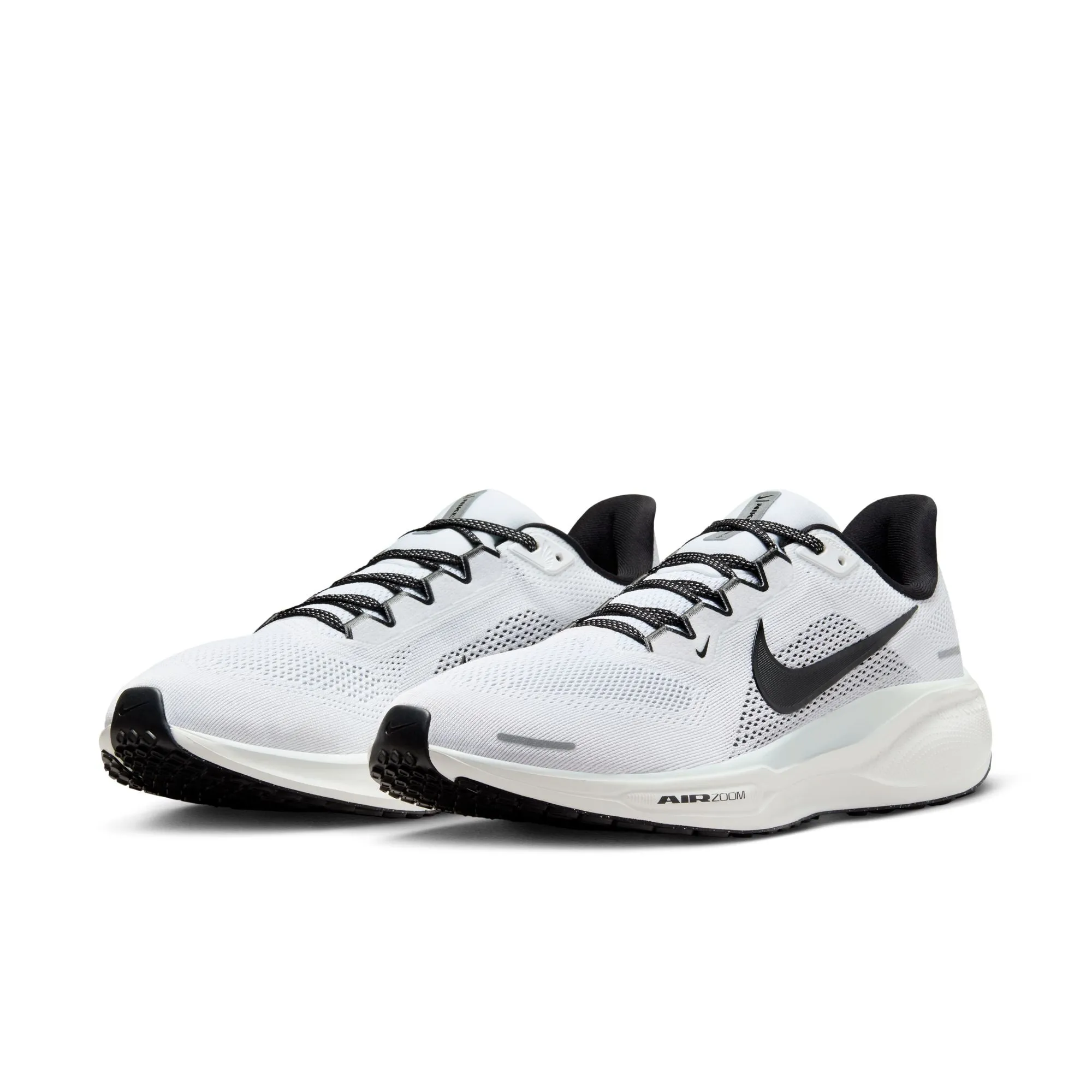 Pegasus 41