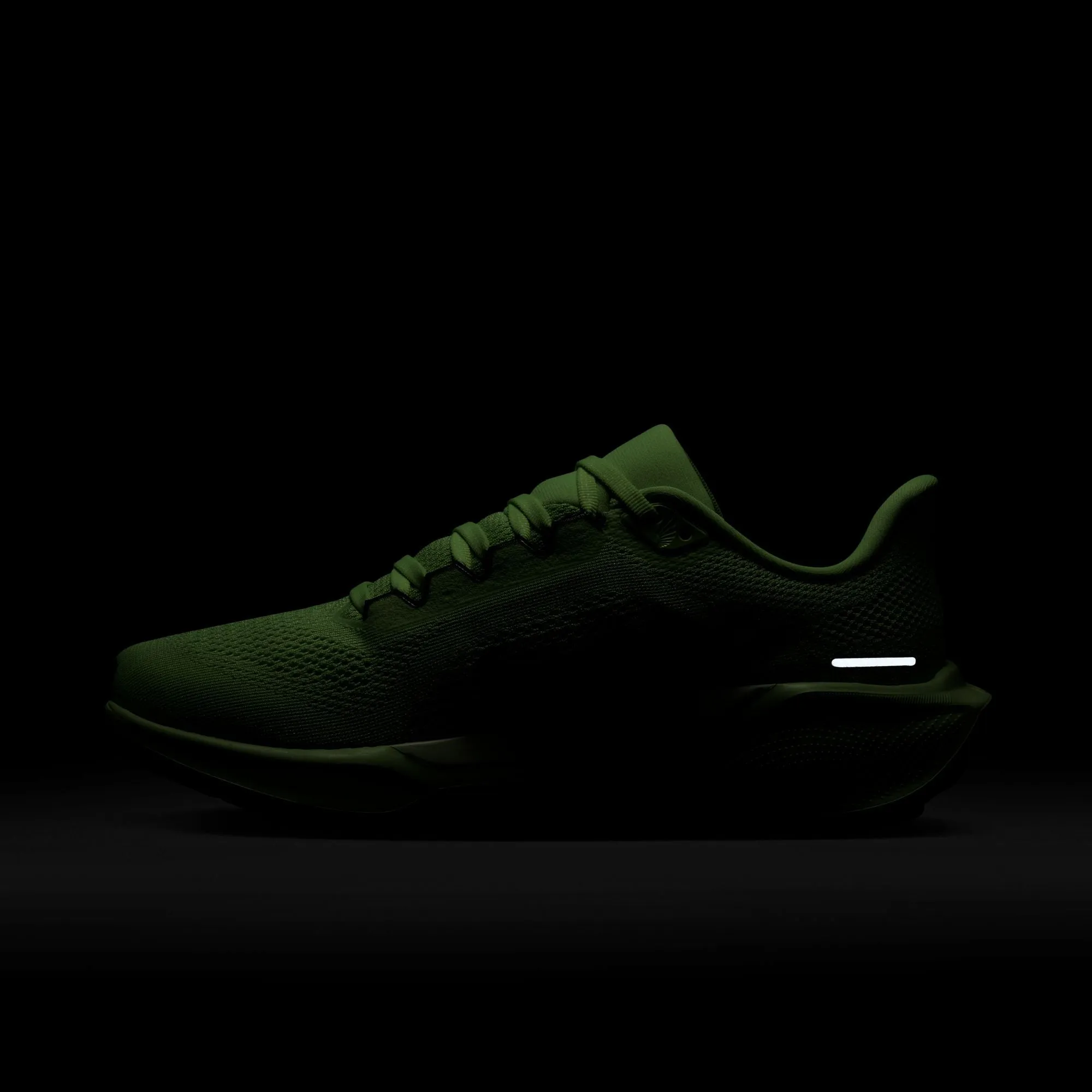 Pegasus 41
