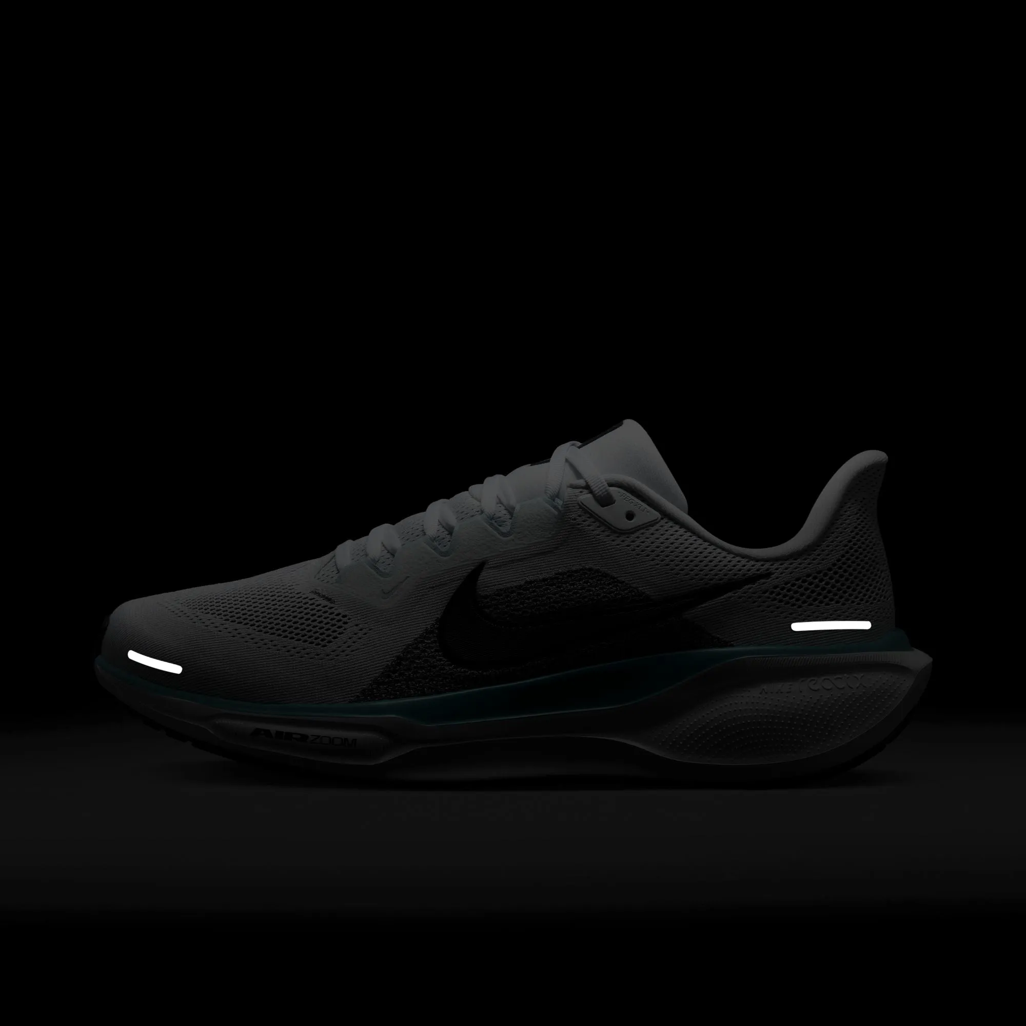 Pegasus 41