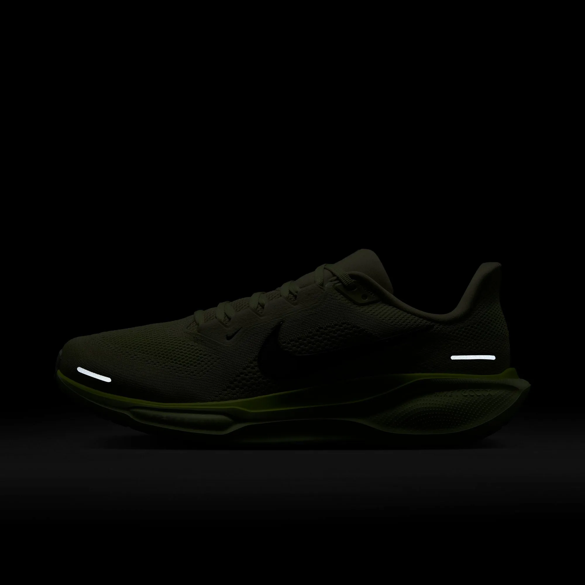 Pegasus 41