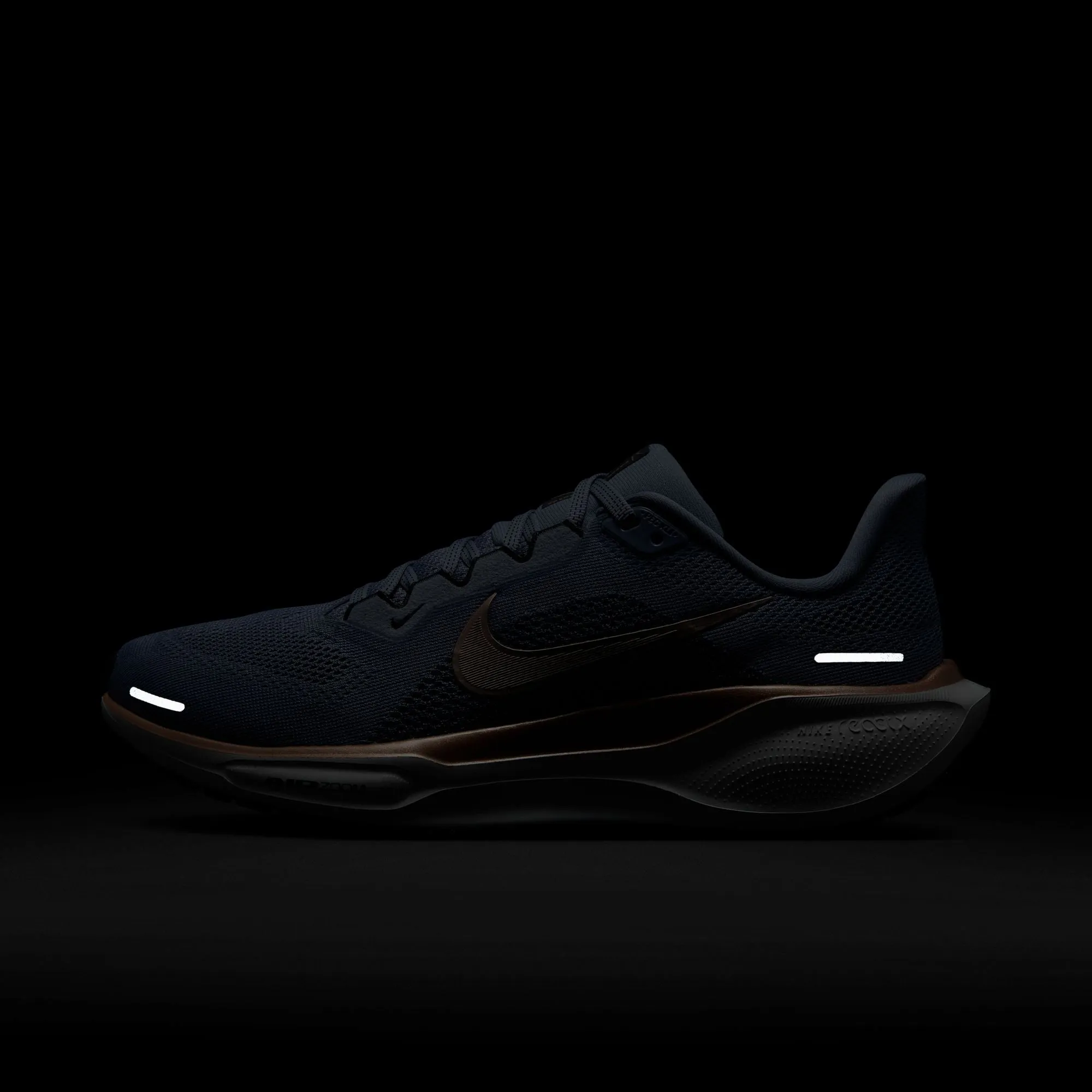 Pegasus 41