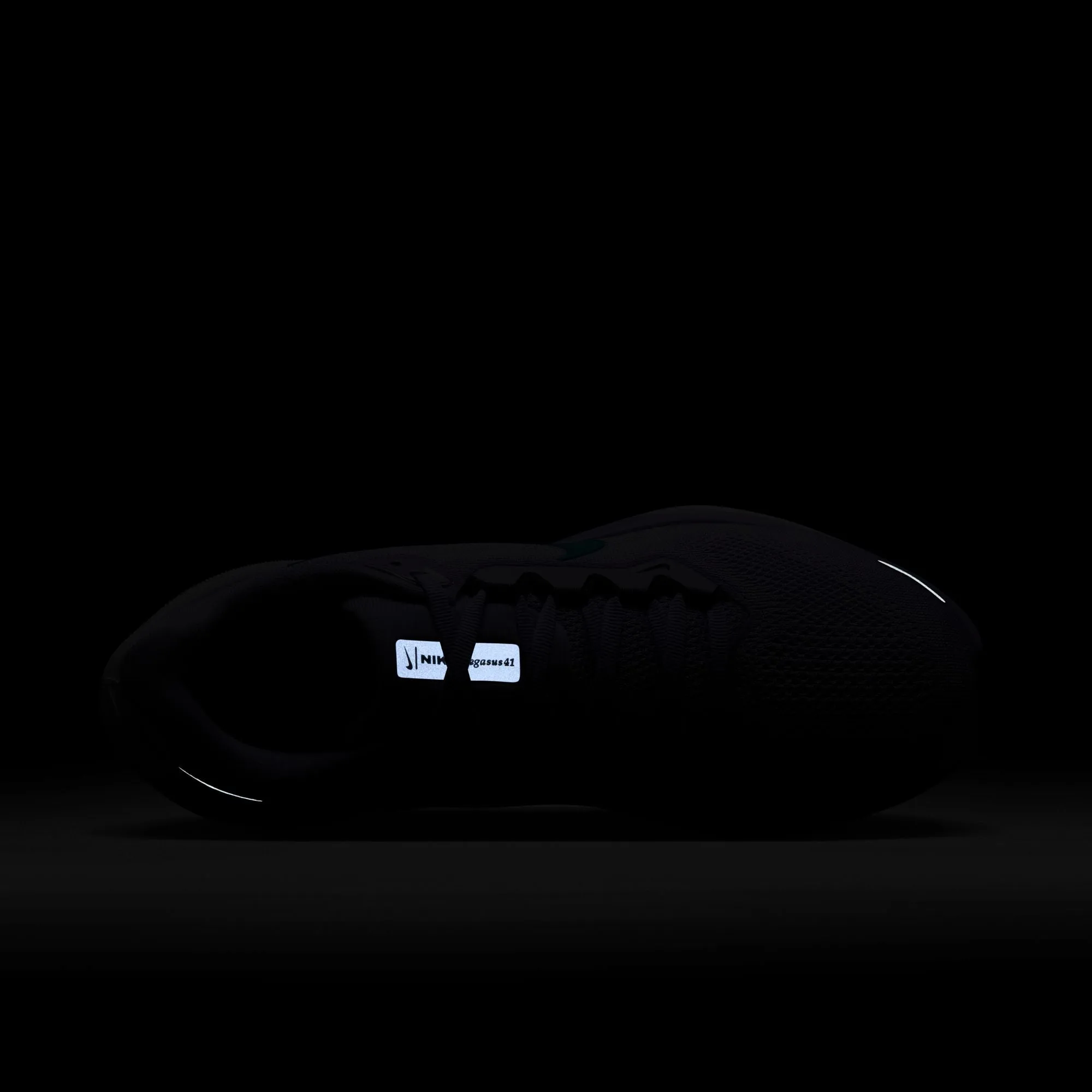 Pegasus 41