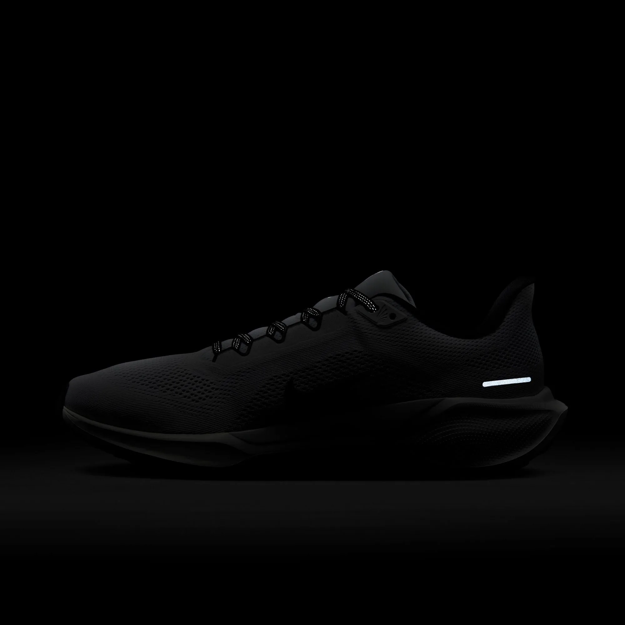Pegasus 41