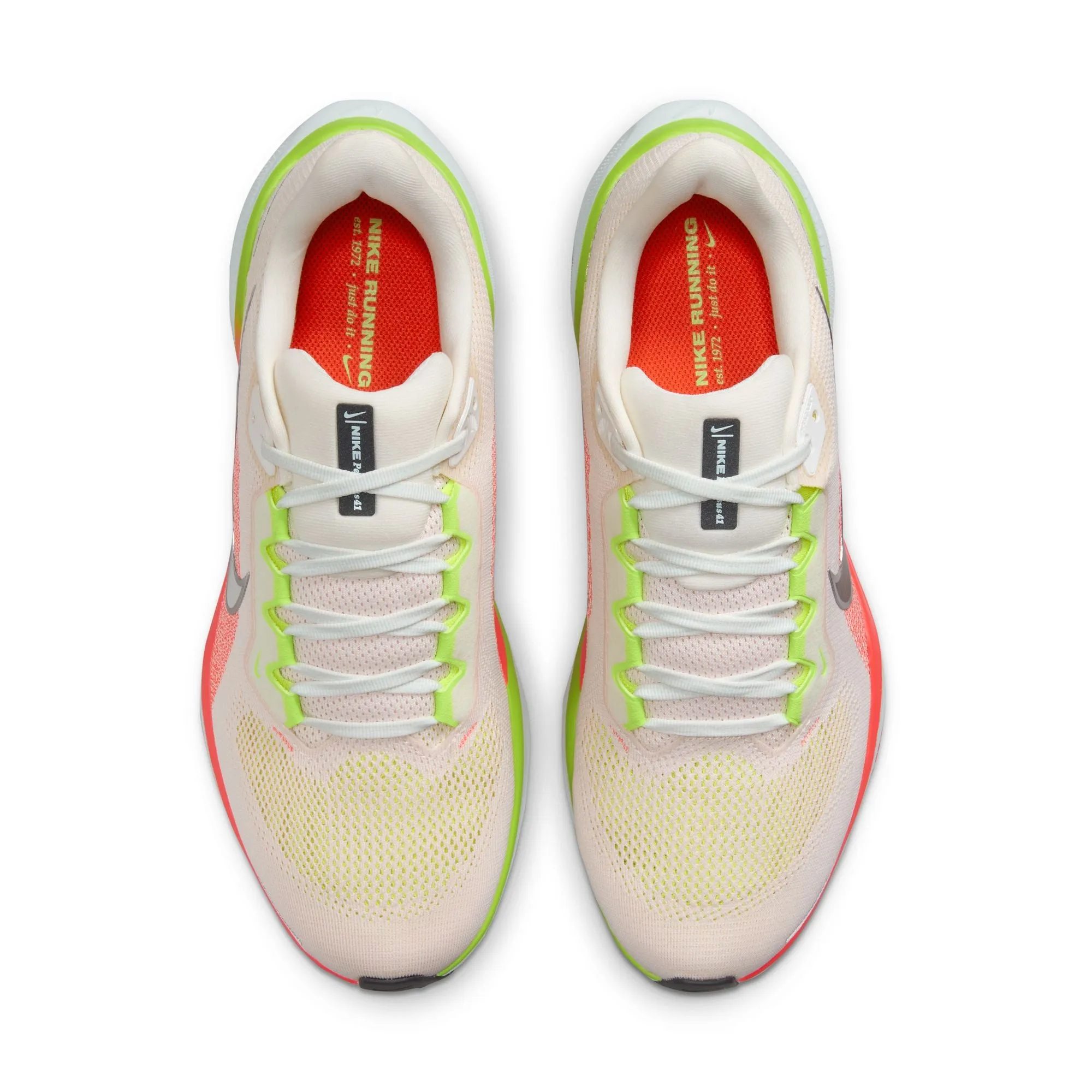Pegasus 41