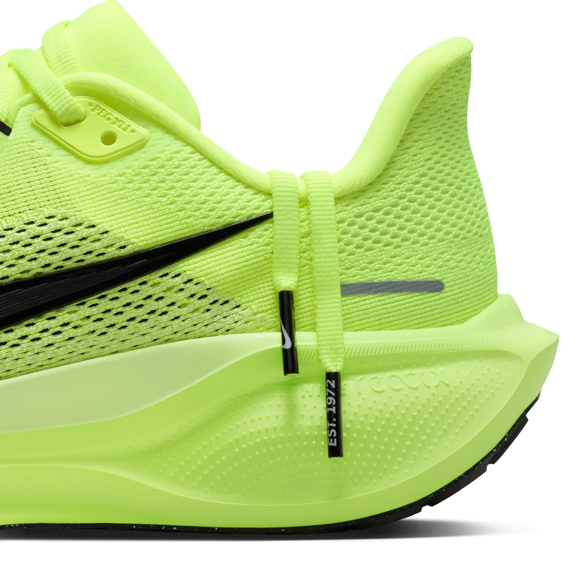 Pegasus 41
