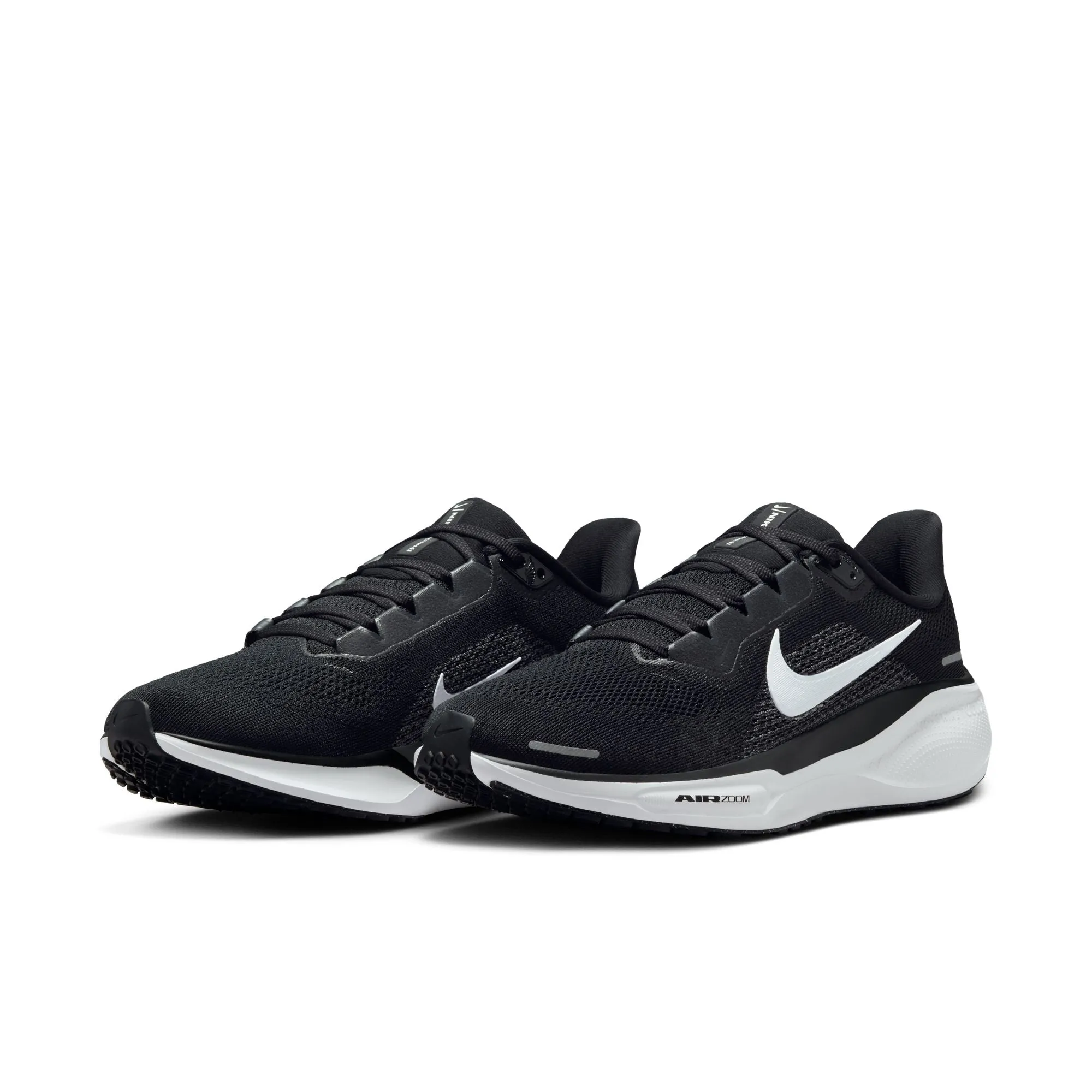 Pegasus 41