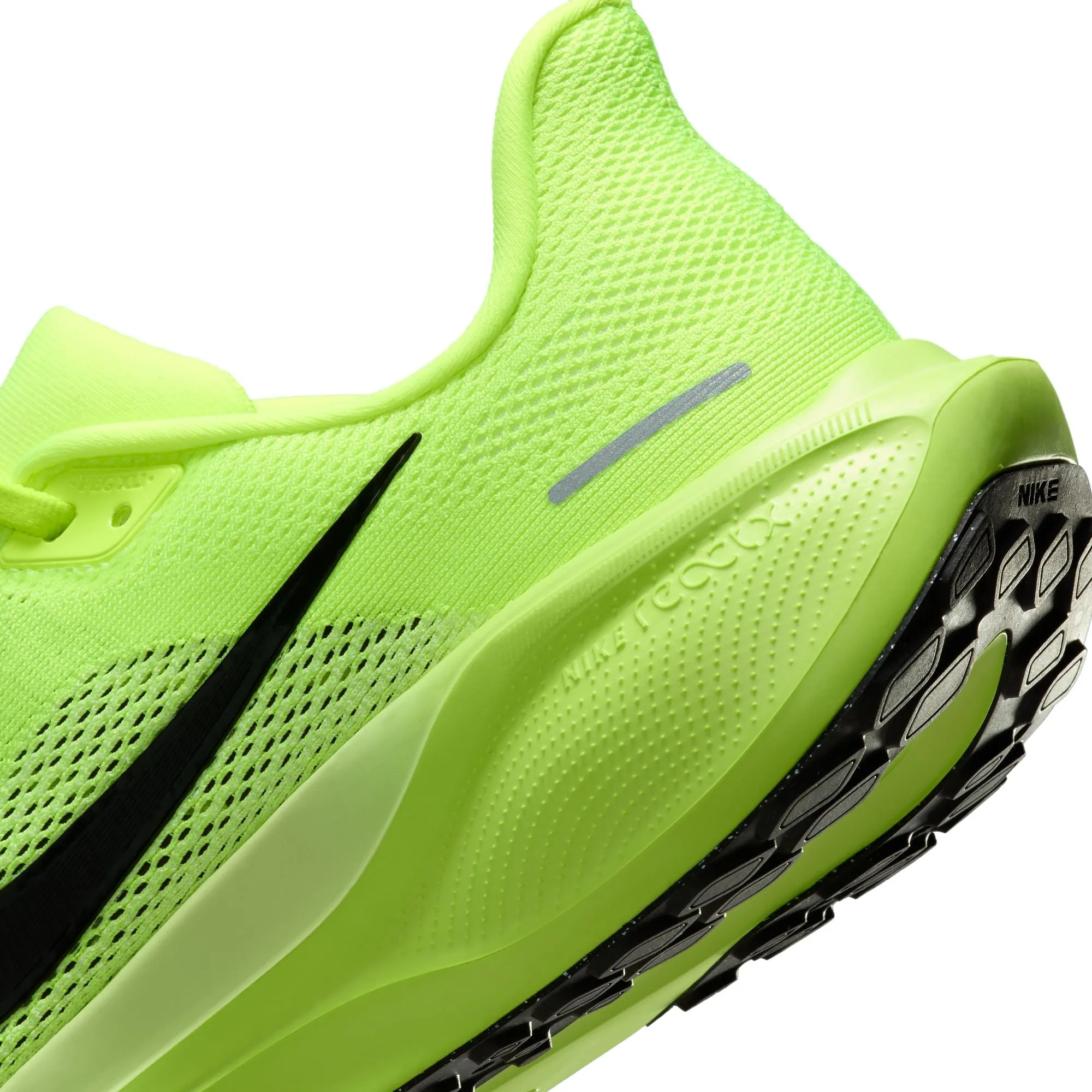 Pegasus 41