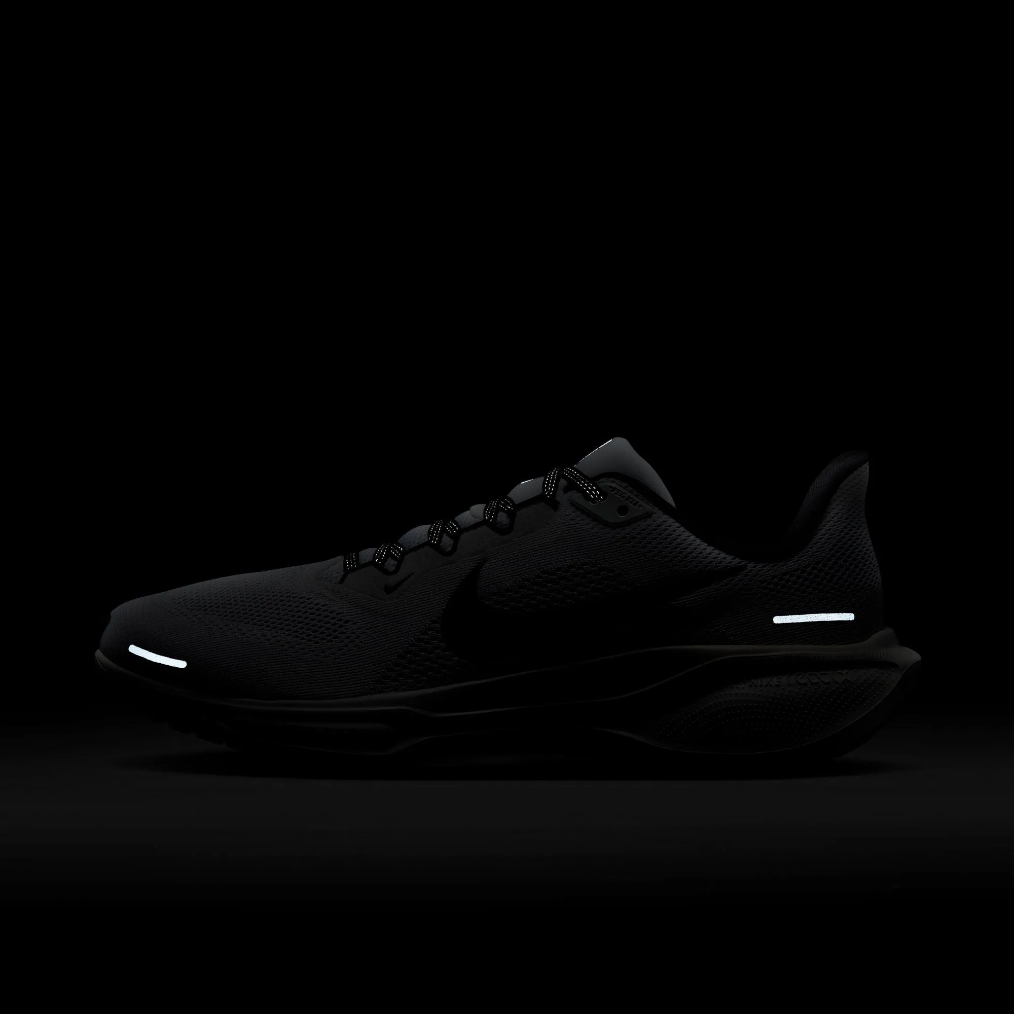 Pegasus 41