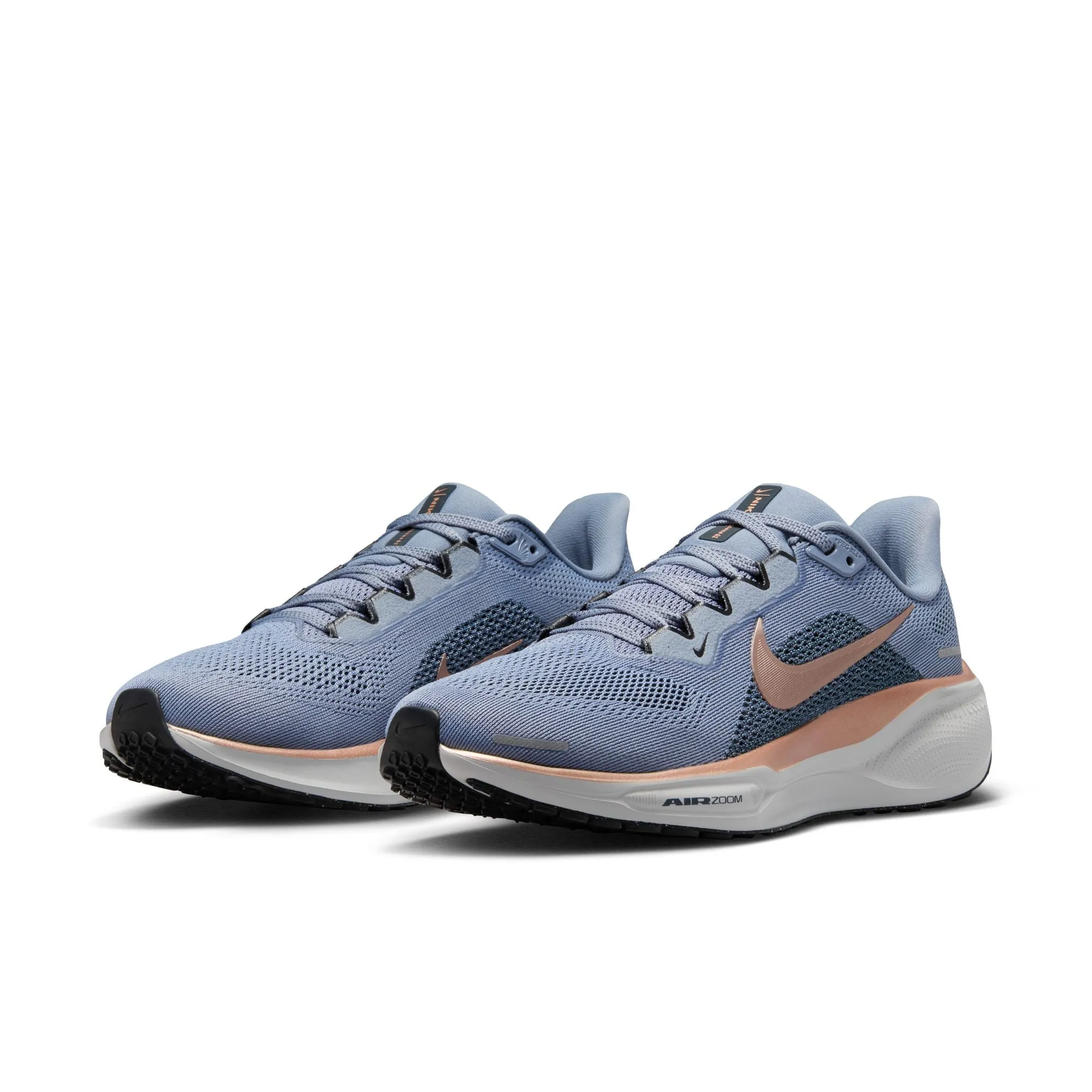 Pegasus 41