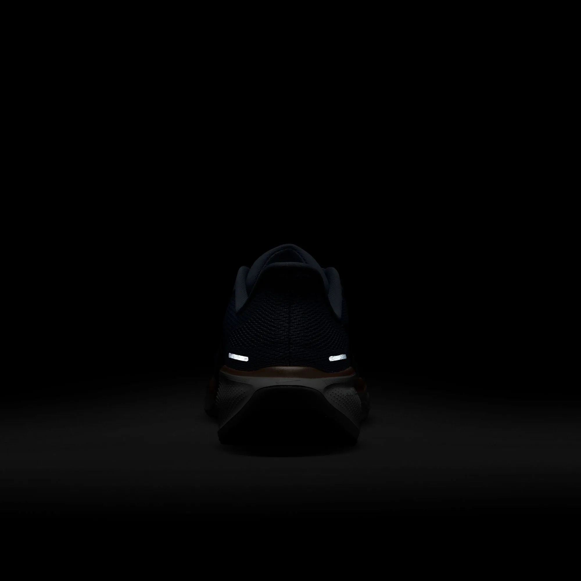 Pegasus 41
