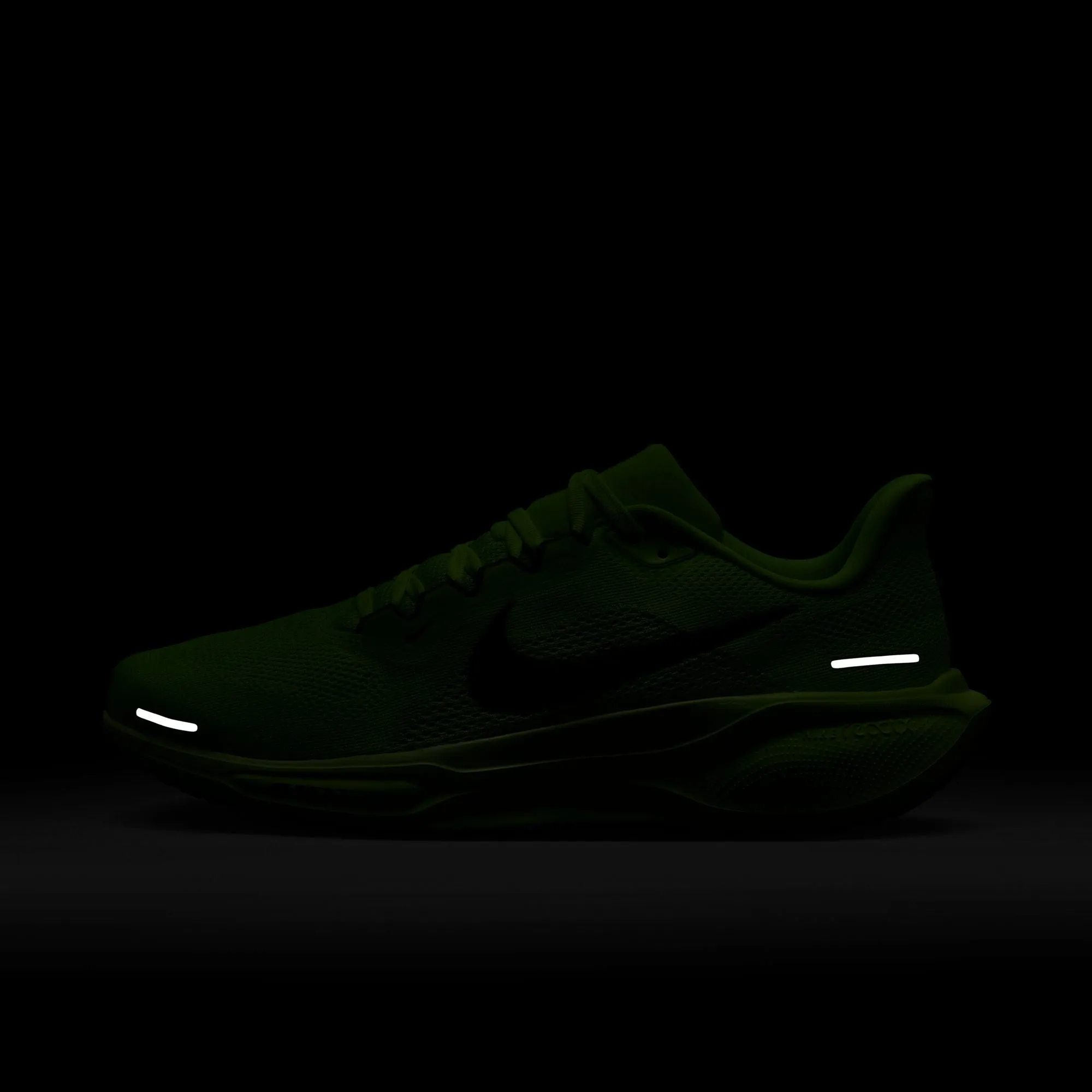 Pegasus 41