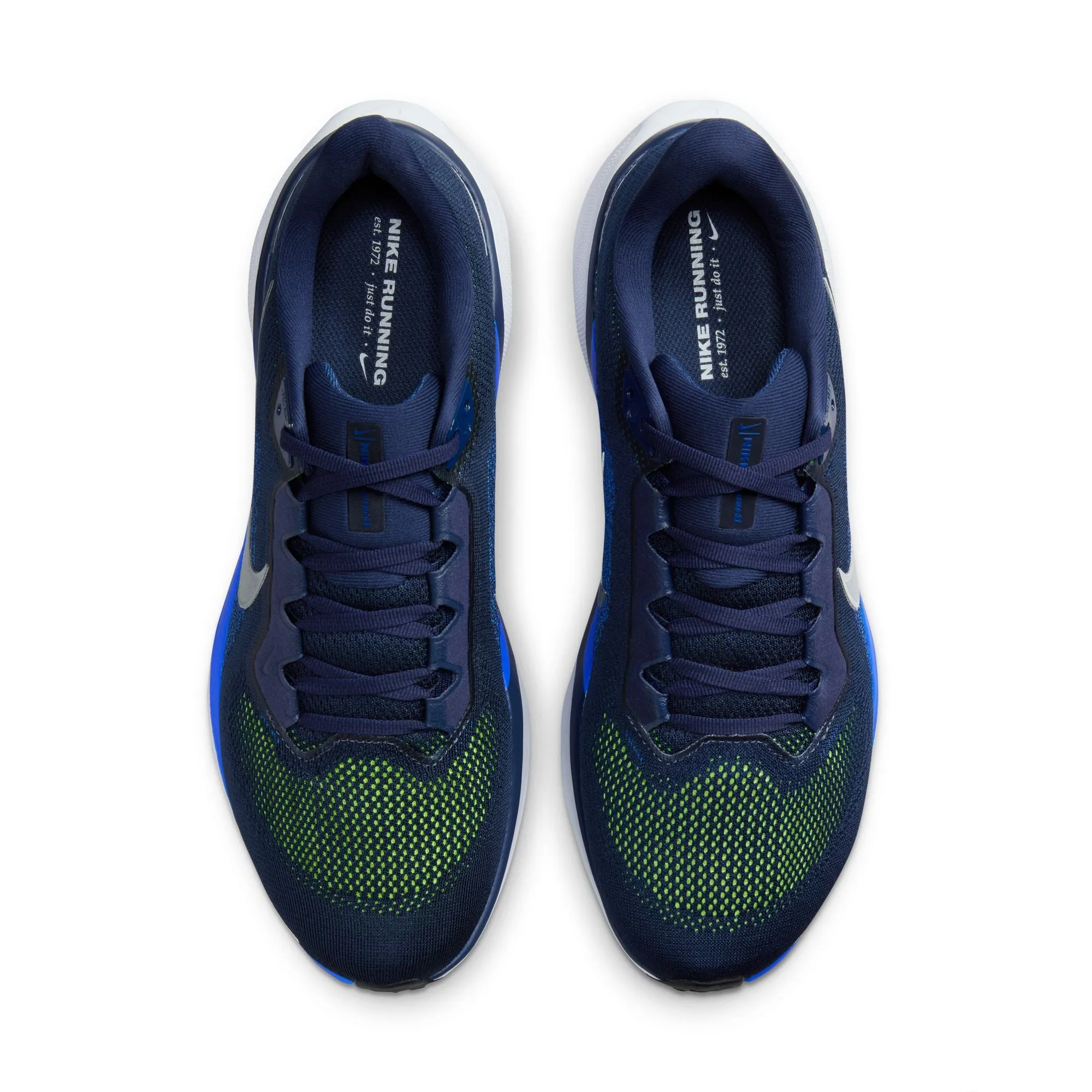 Pegasus 41