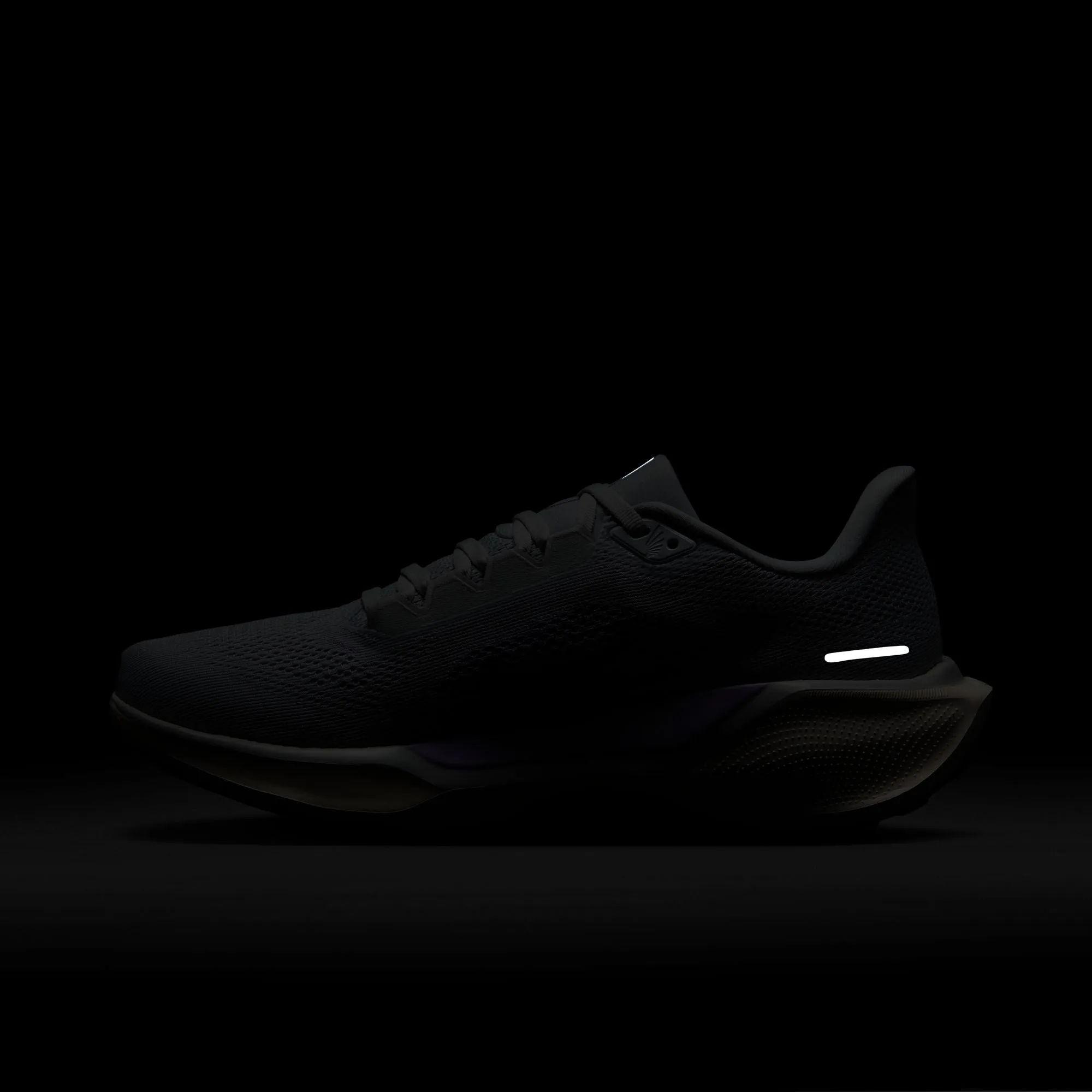 Pegasus 41