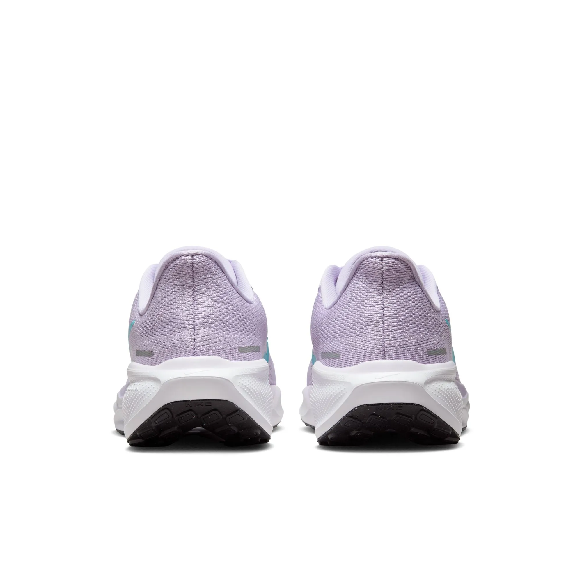 Pegasus 41