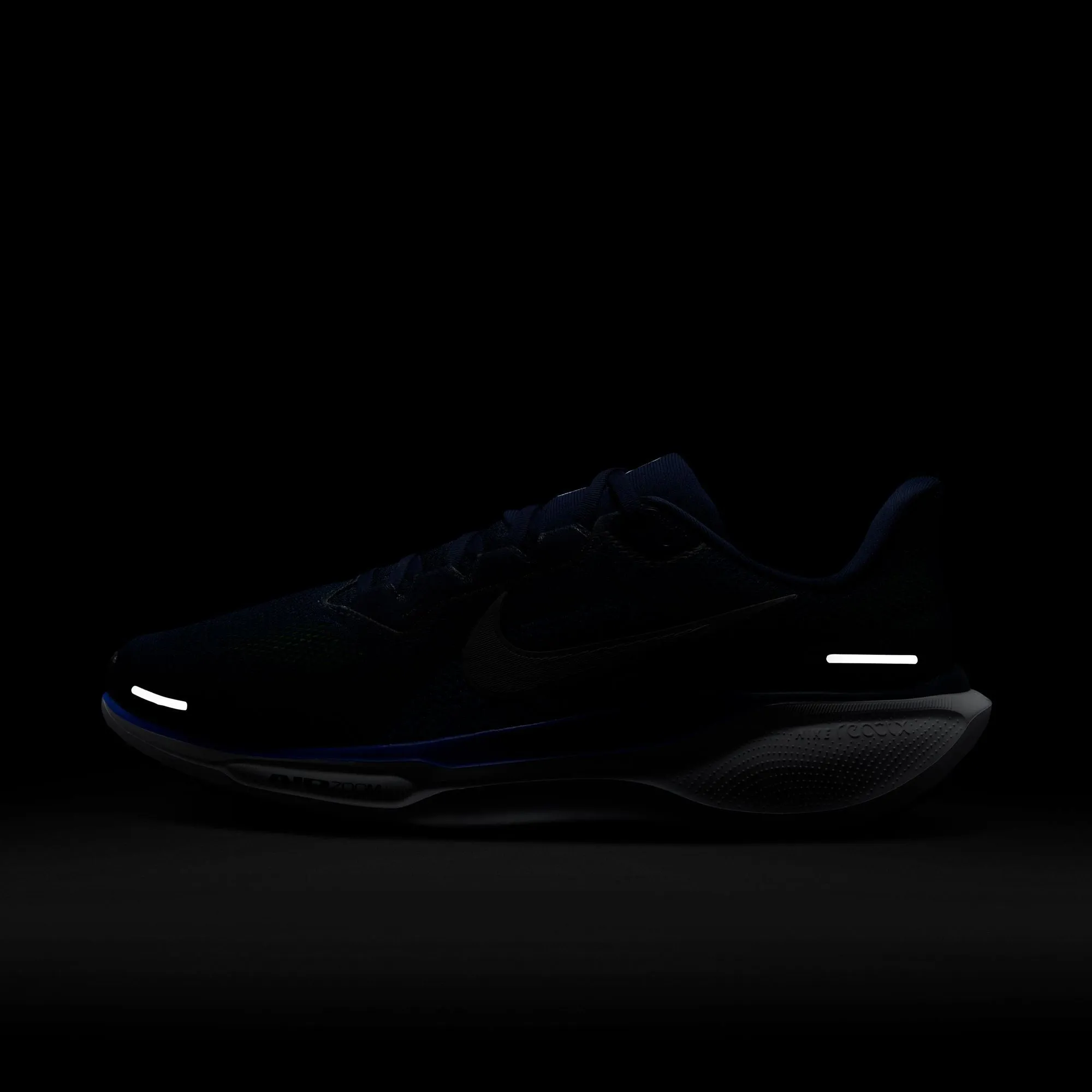 Pegasus 41